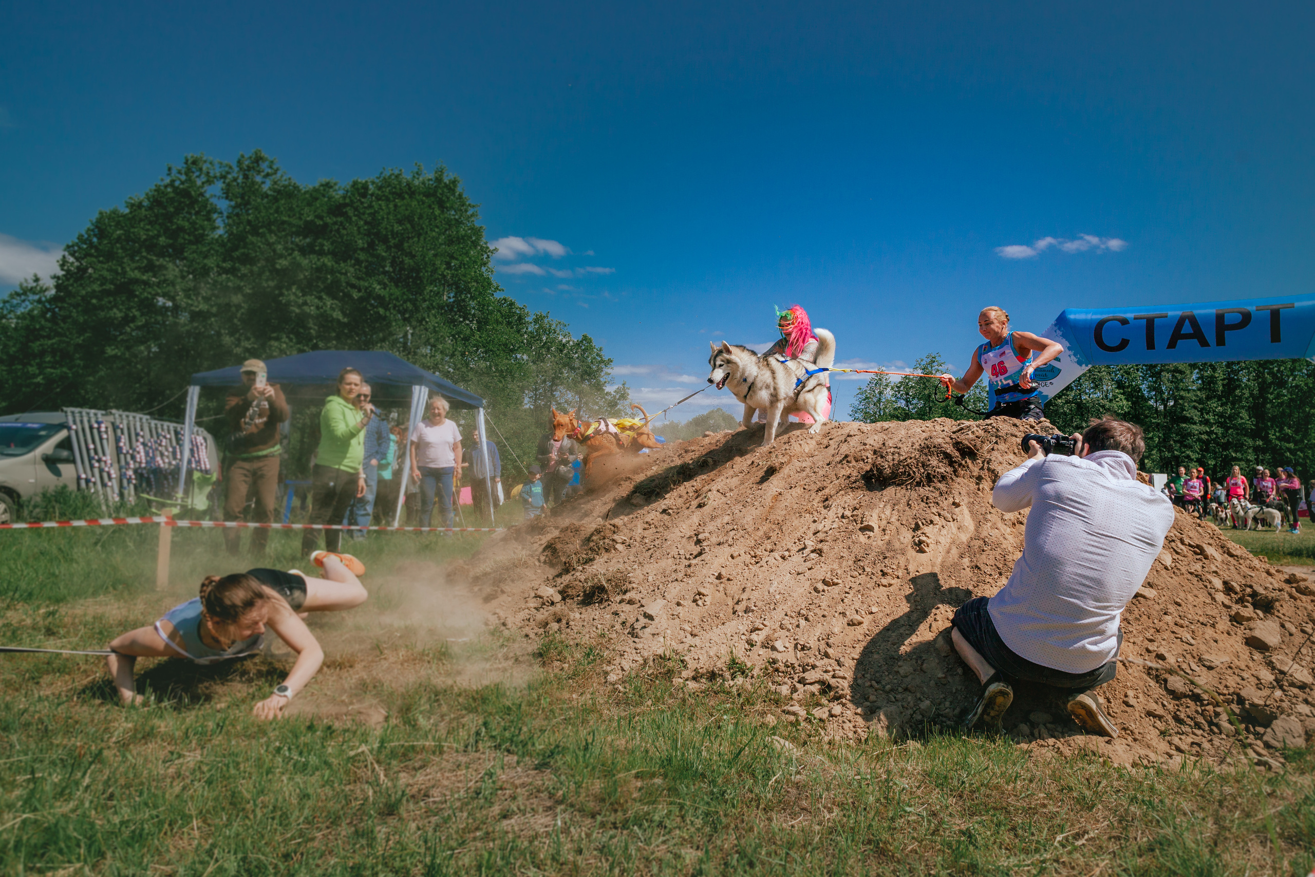 Хвостатый Драйв 11.06.2023. Фотограф-анималист Татьяна Степанова