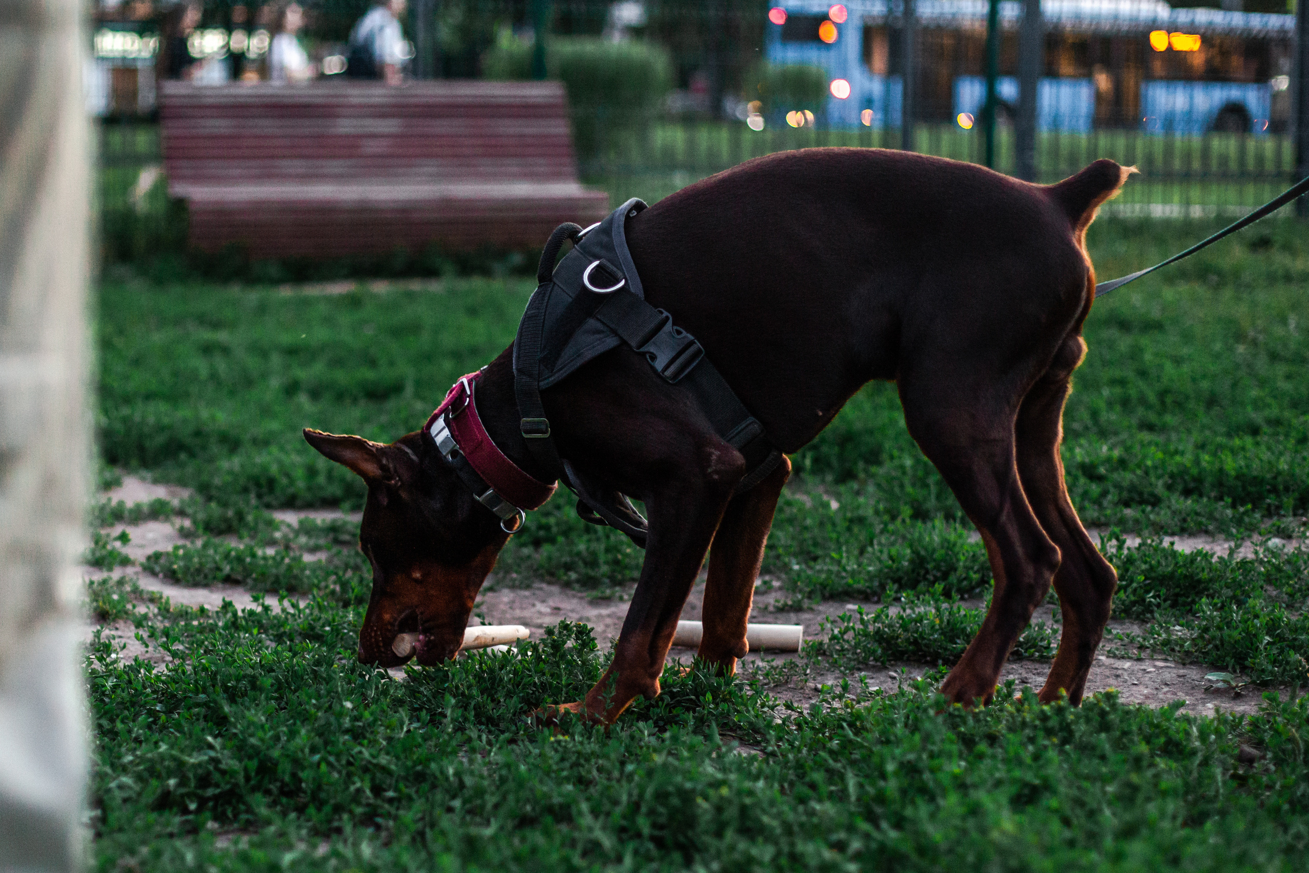 Занятие ЗКС+Выборка 2022. Фотограф-анималист Татьяна Степанова