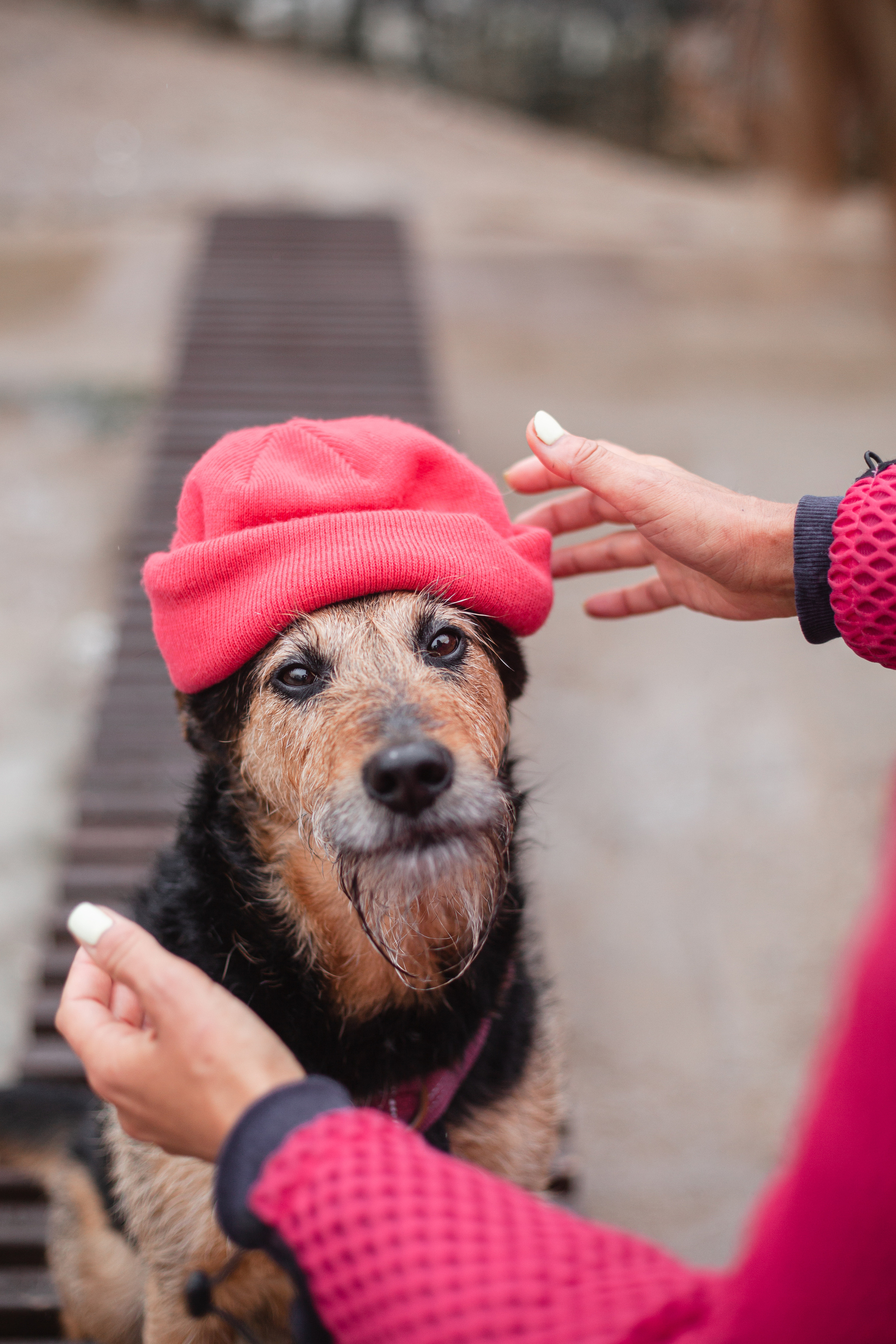 Лиза и Бренда. Фотограф-анималист Татьяна Степанова