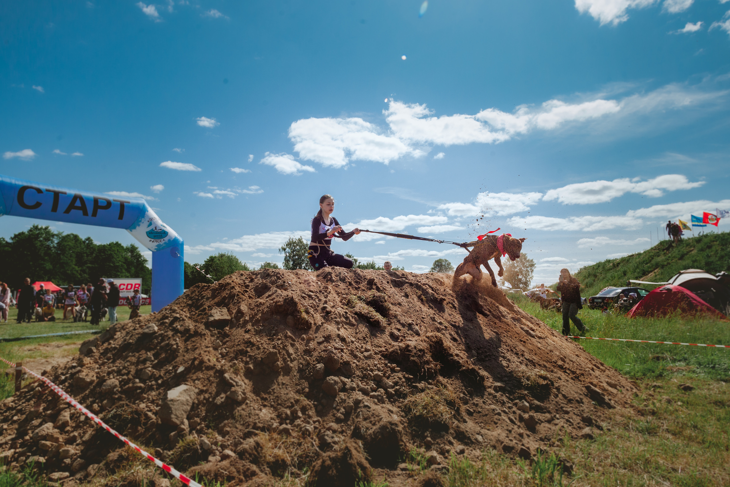 Хвостатый Драйв 11.06.2023. Фотограф-анималист Татьяна Степанова