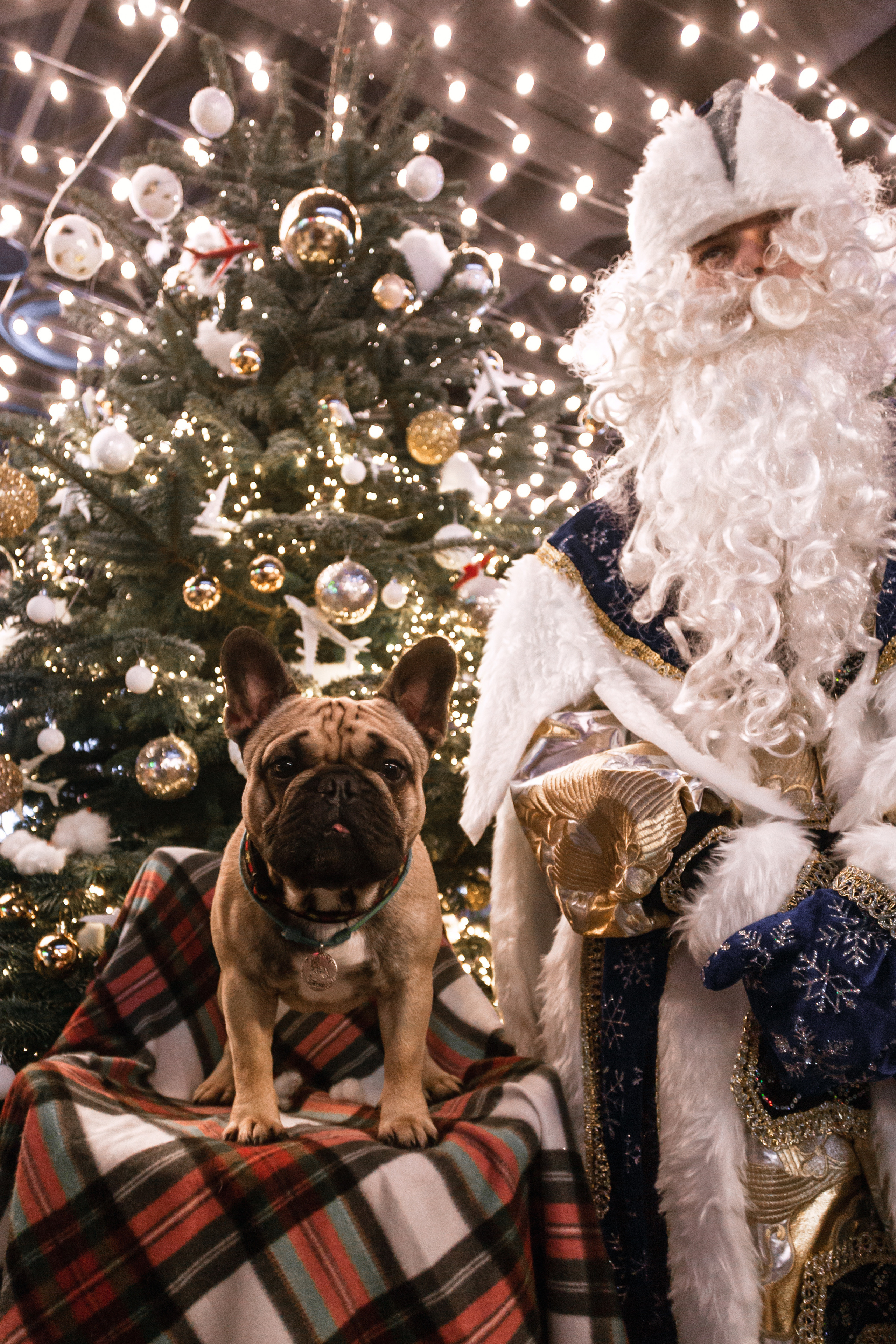 Бульелка 2022. Фотограф-анималист Татьяна Степанова