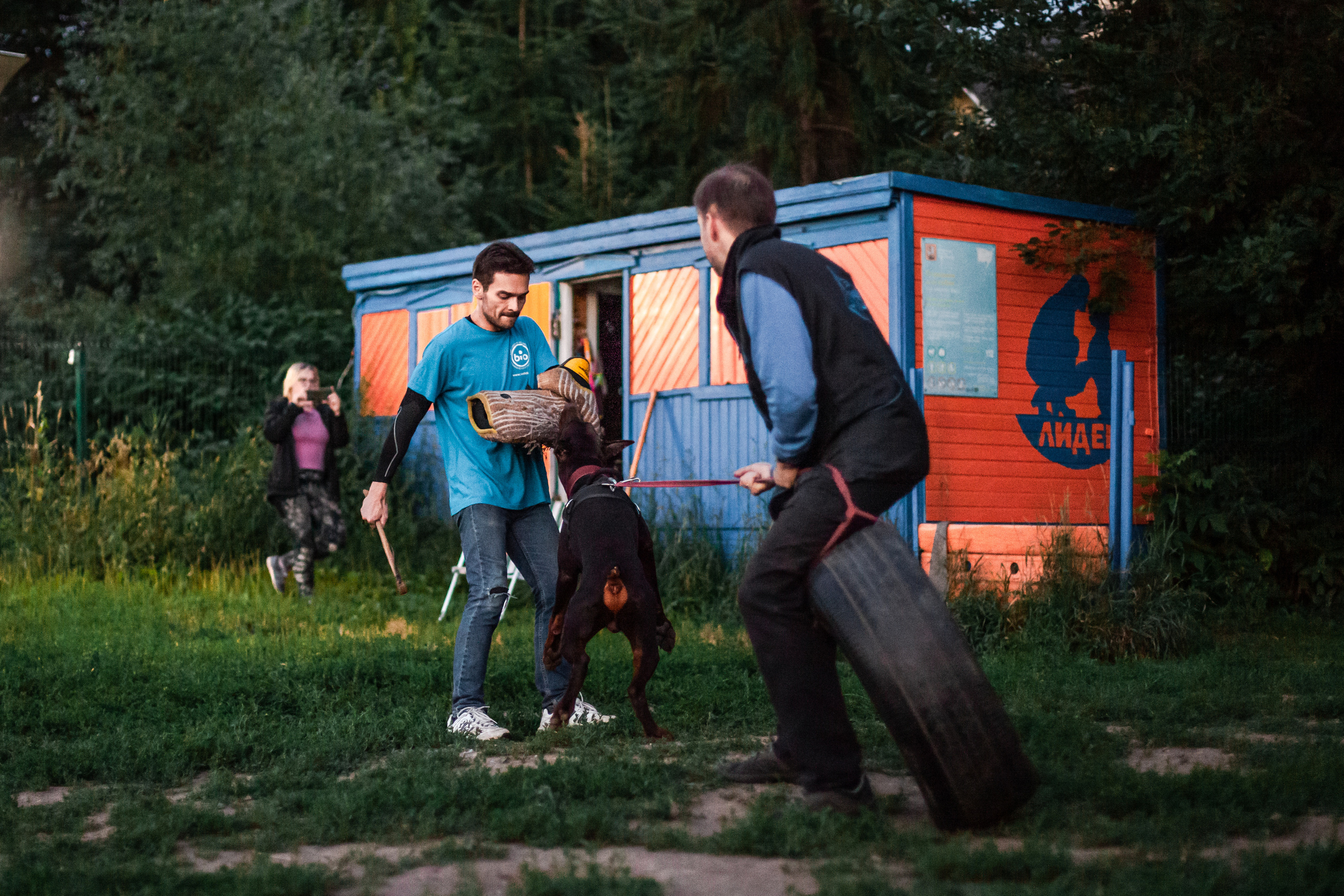 Занятие ЗКС+Выборка 2022. Фотограф-анималист Татьяна Степанова