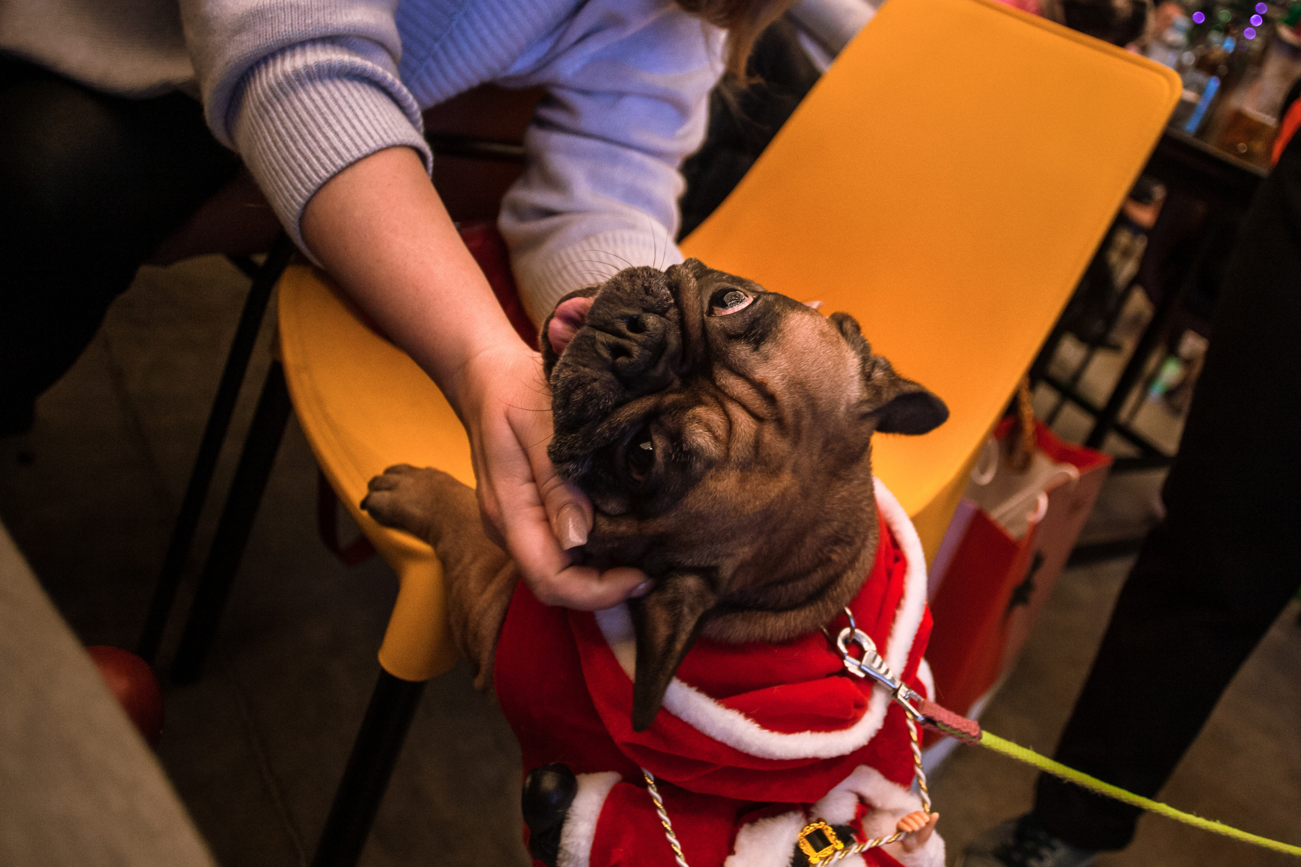 Бульелка 2022. Фотограф-анималист Татьяна Степанова