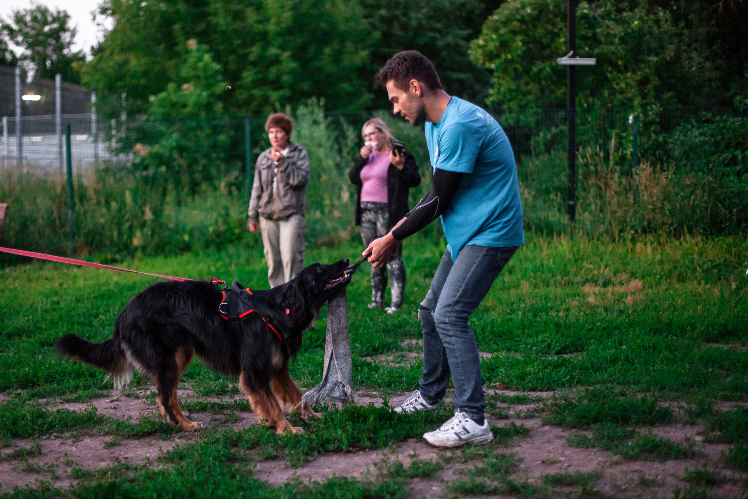 Занятие ЗКС+Выборка 2022. Фотограф-анималист Татьяна Степанова