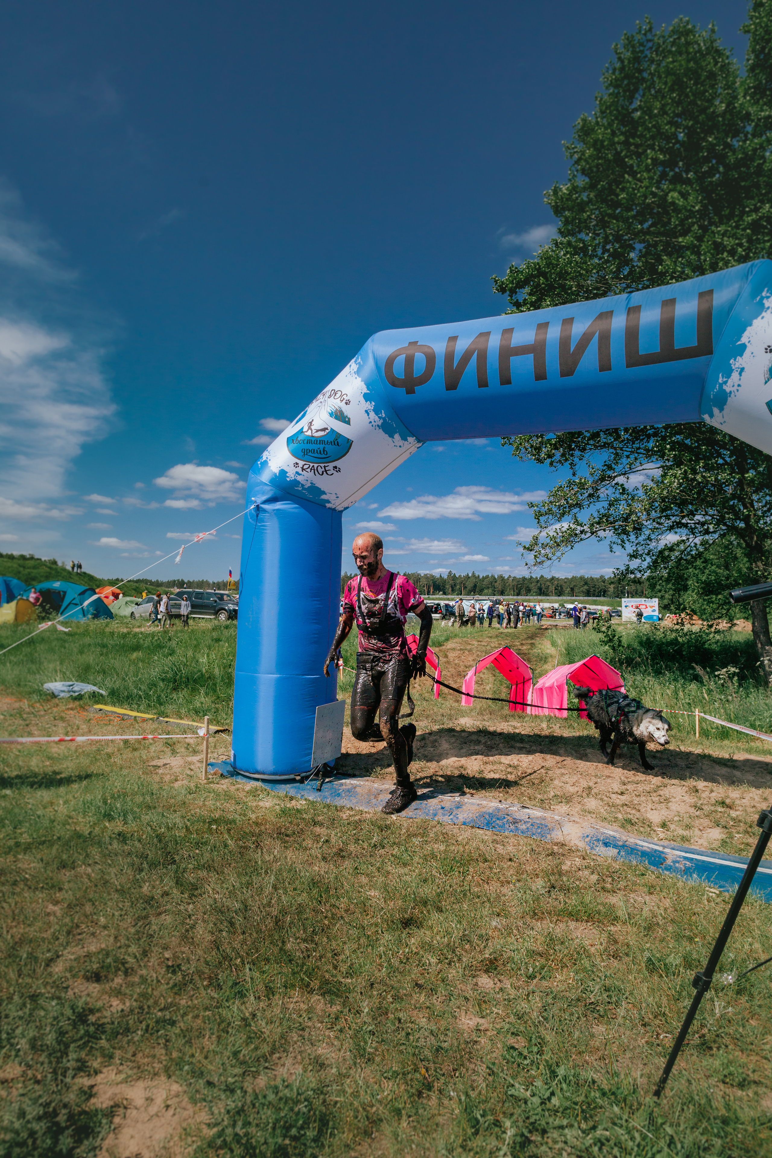 Хвостатый Драйв 11.06.2023. Фотограф-анималист Татьяна Степанова