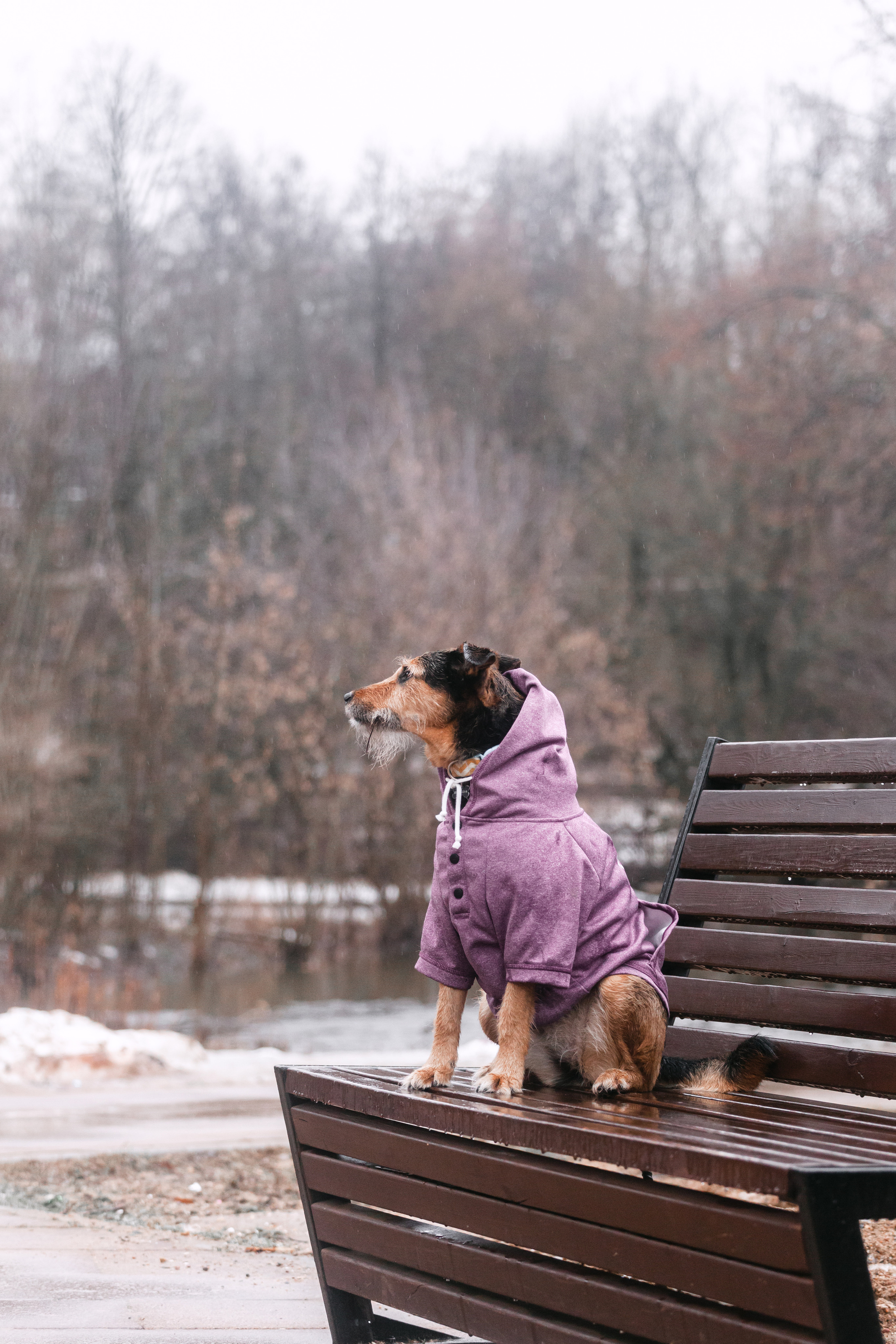 Лиза и Бренда. Фотограф-анималист Татьяна Степанова