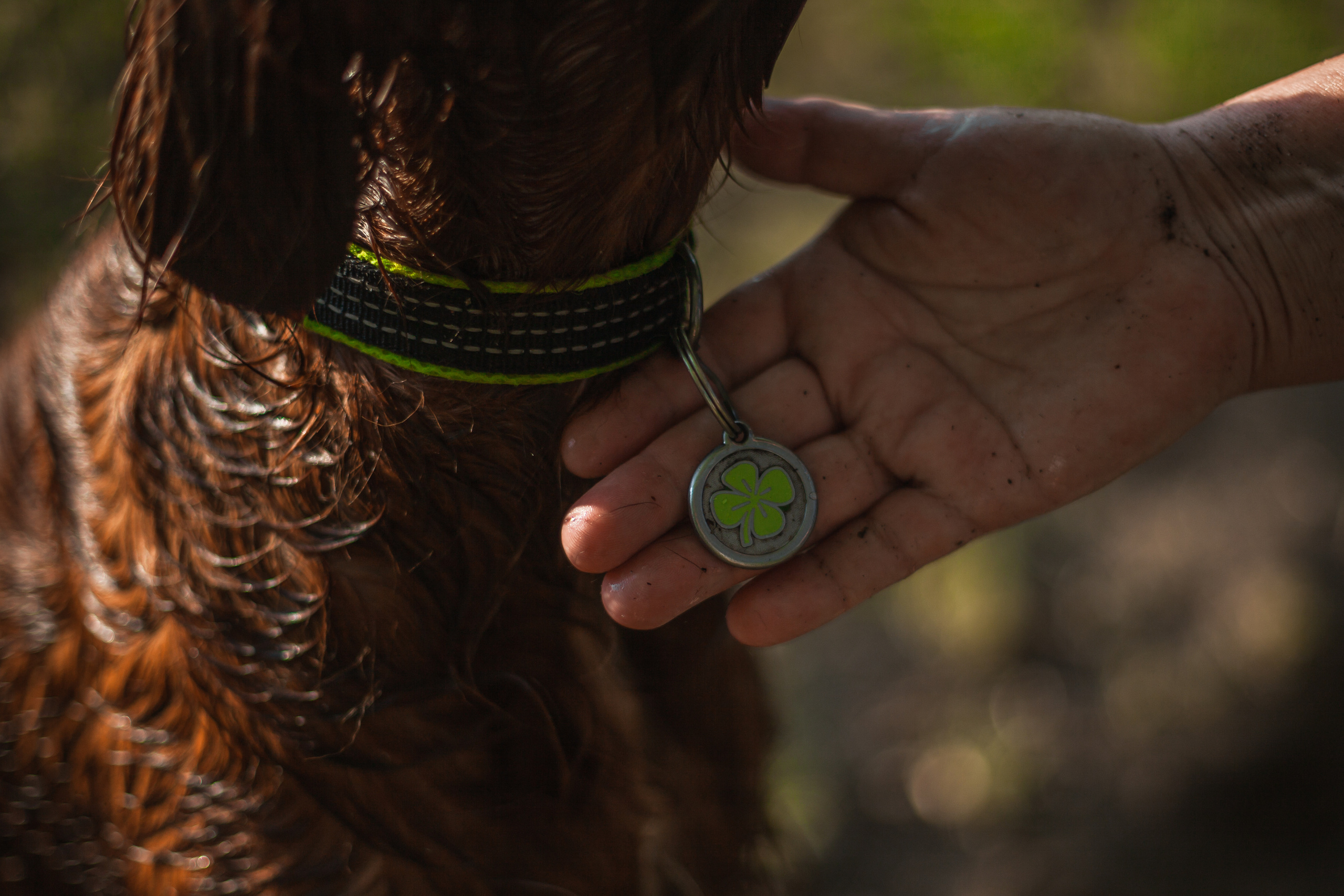 Рассветная съемка в ПКИО Северное Тушино. Фотограф-анималист Татьяна Степанова