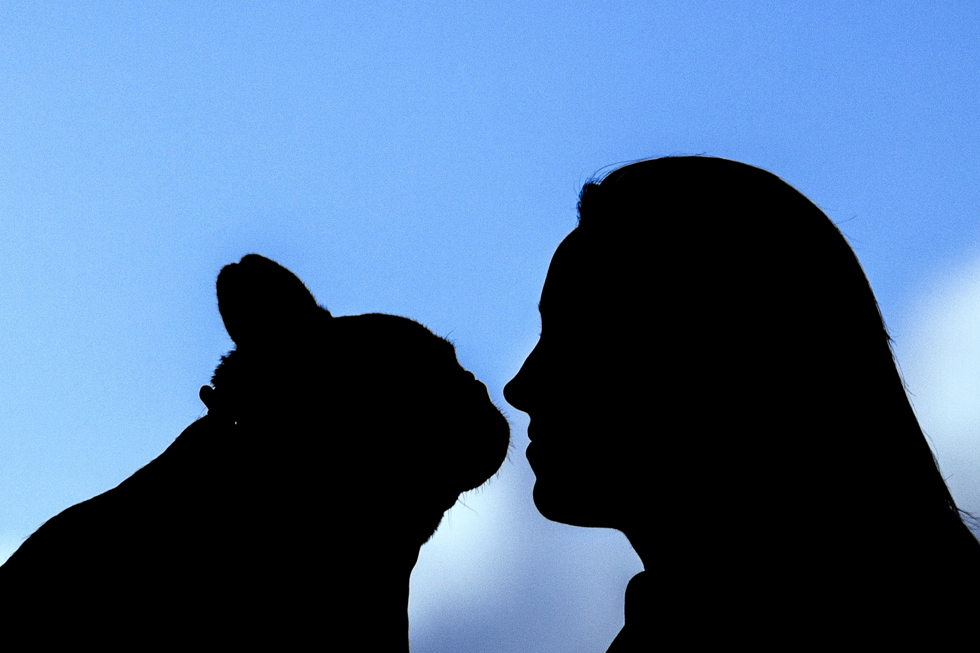 Коломна, стога и подсолнухи. Фотограф-анималист Татьяна Степанова