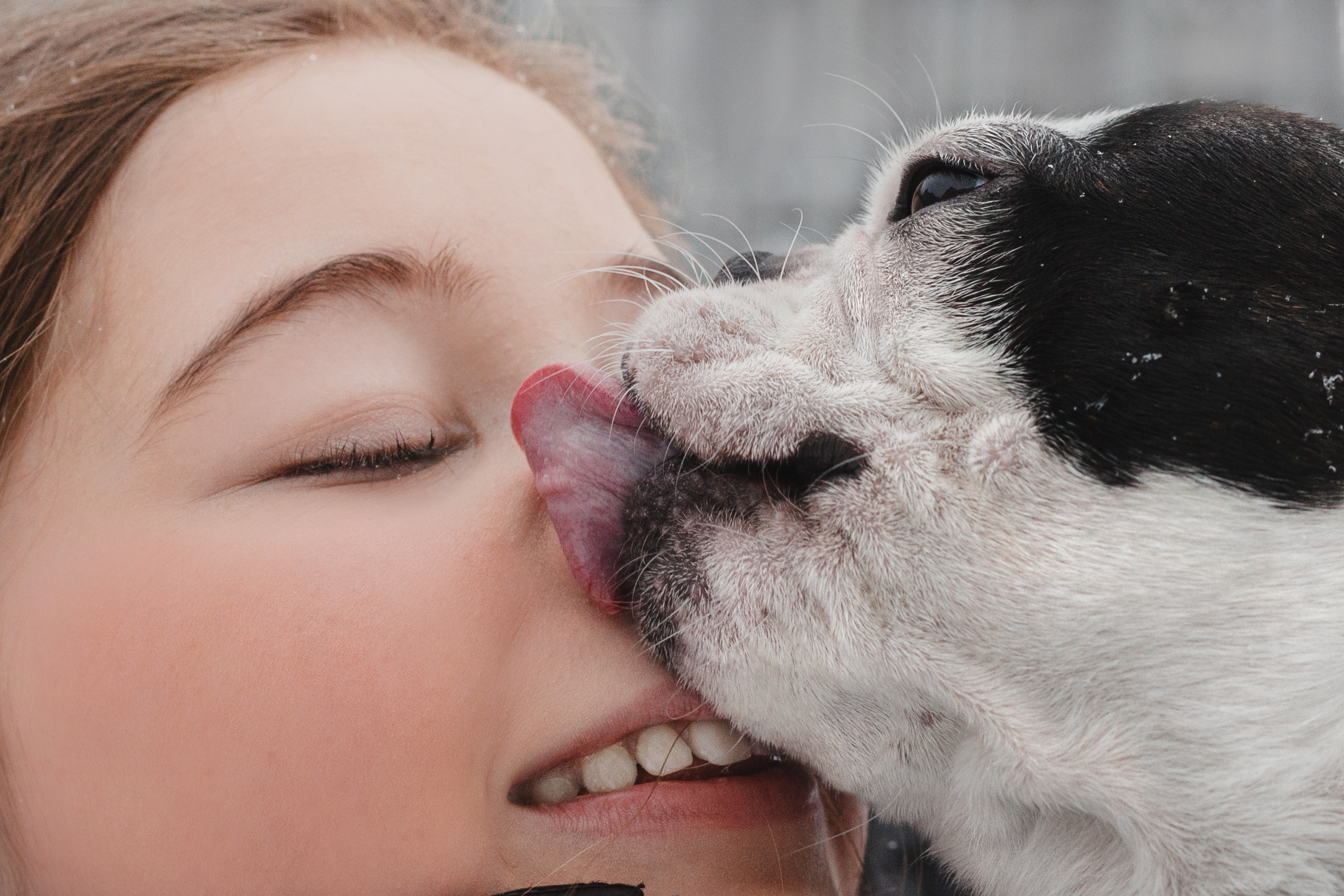 Василиса и Мира Кузнецкий мост. Фотограф-анималист Татьяна Степанова