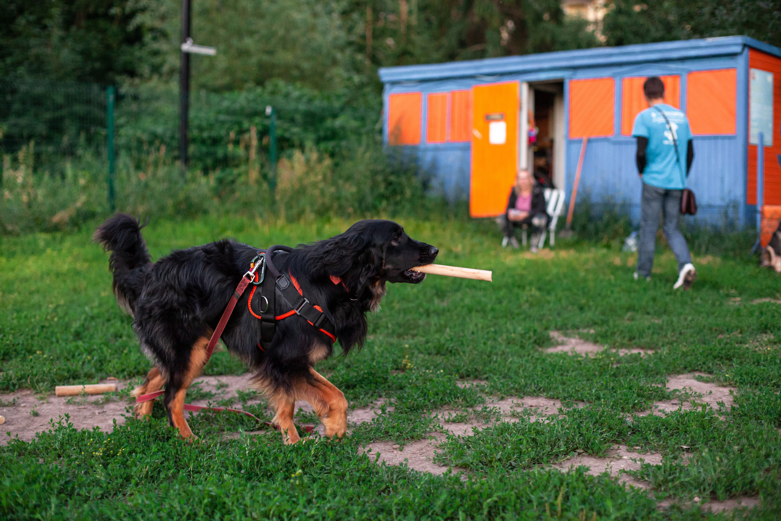 Занятие ЗКС+Выборка 2022. Фотограф-анималист Татьяна Степанова