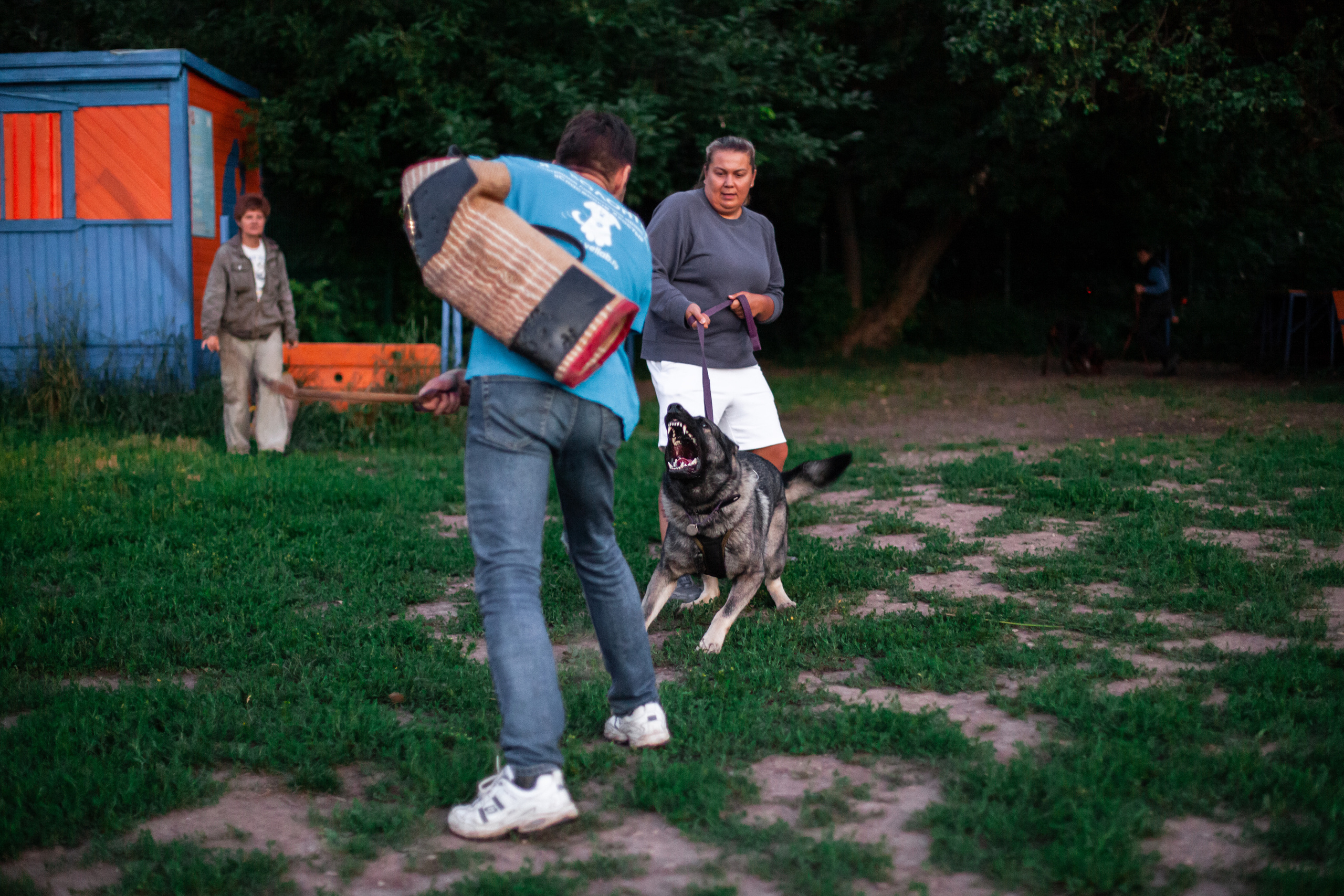 Занятие ЗКС+Выборка 2022. Фотограф-анималист Татьяна Степанова