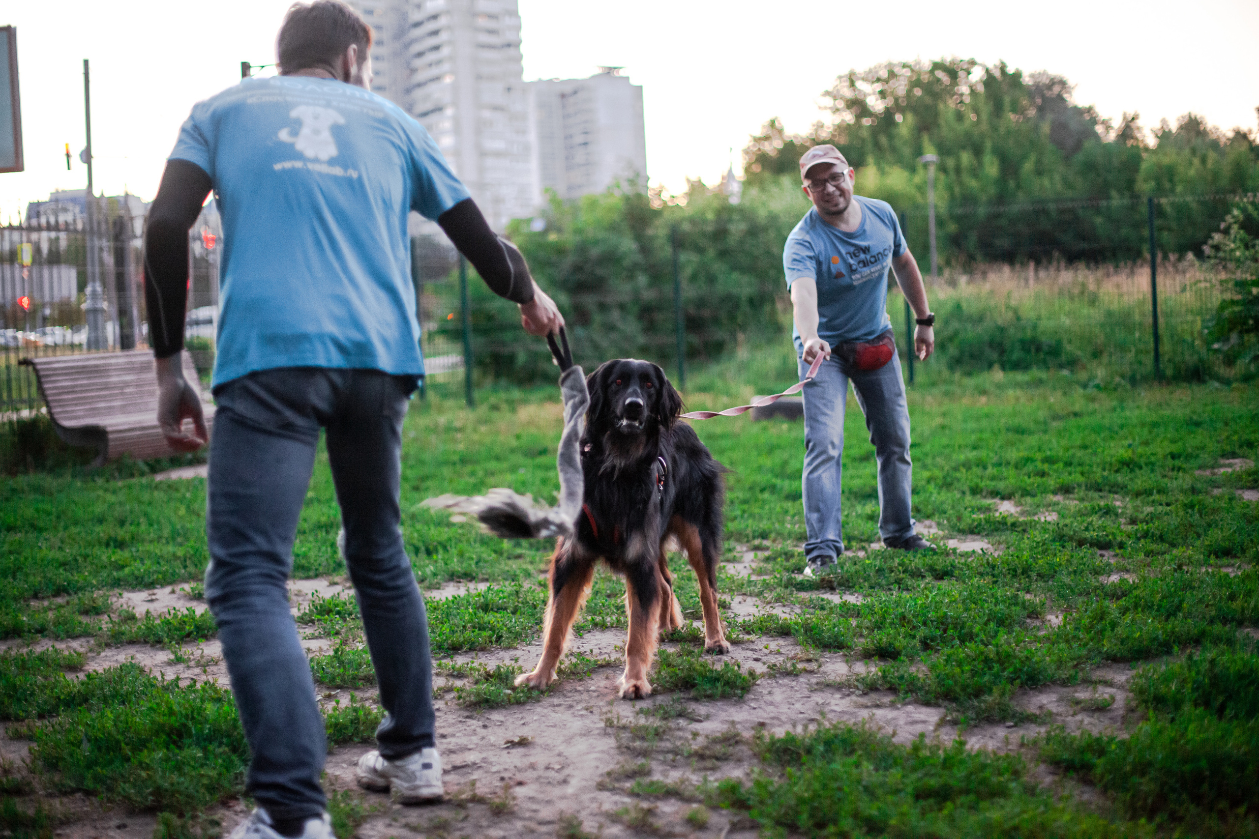 Занятие ЗКС+Выборка 2022. Фотограф-анималист Татьяна Степанова