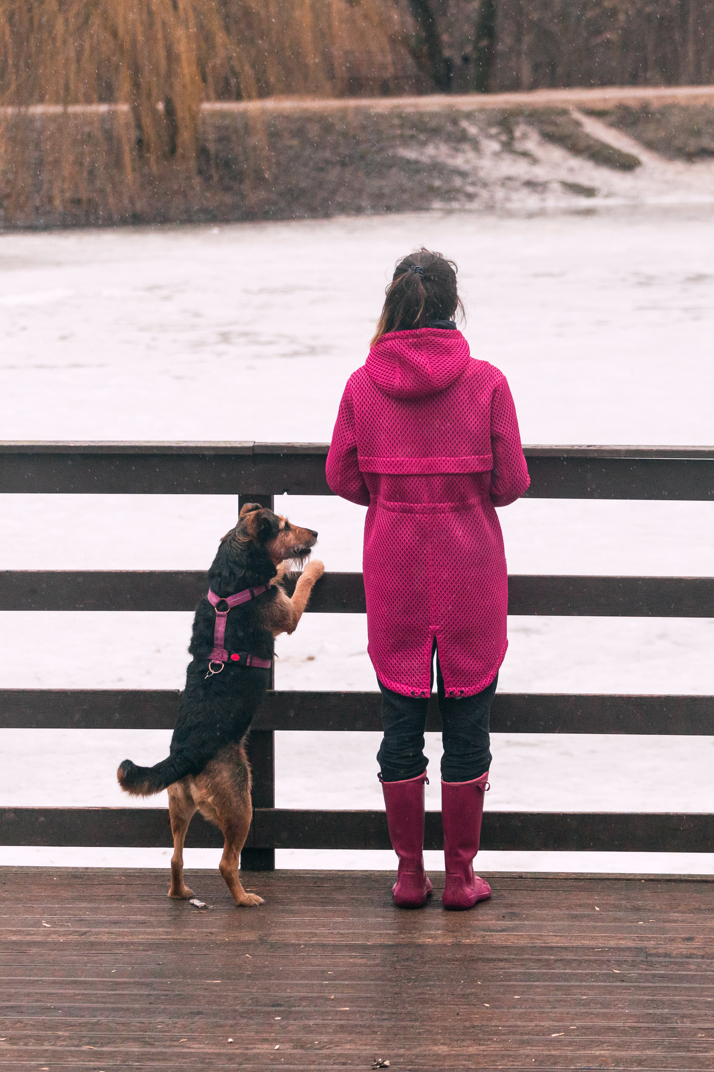 Лиза и Бренда. Фотограф-анималист Татьяна Степанова