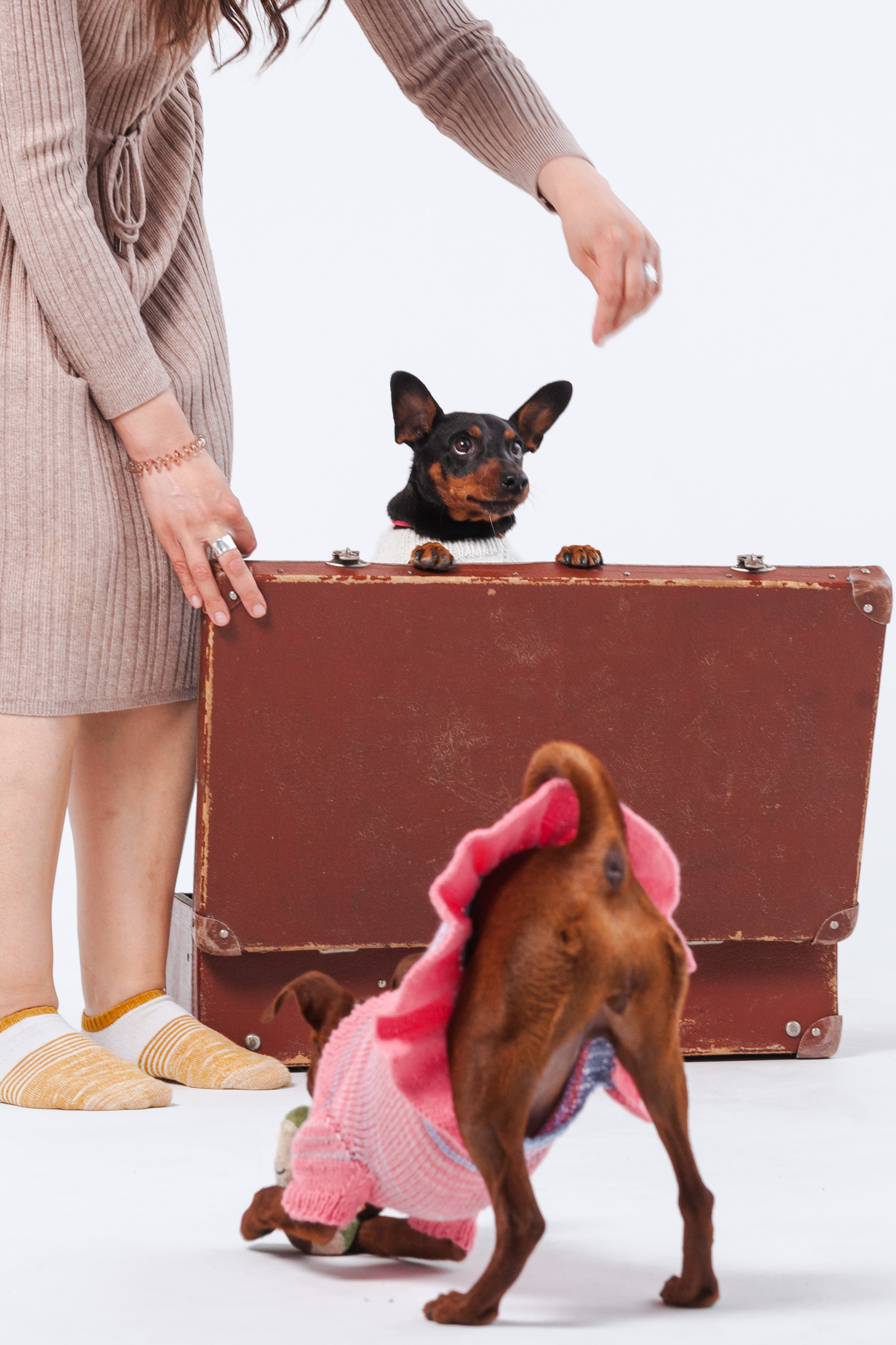 Александра и пинчеры Майя и Джой. Фотограф-анималист Татьяна Степанова