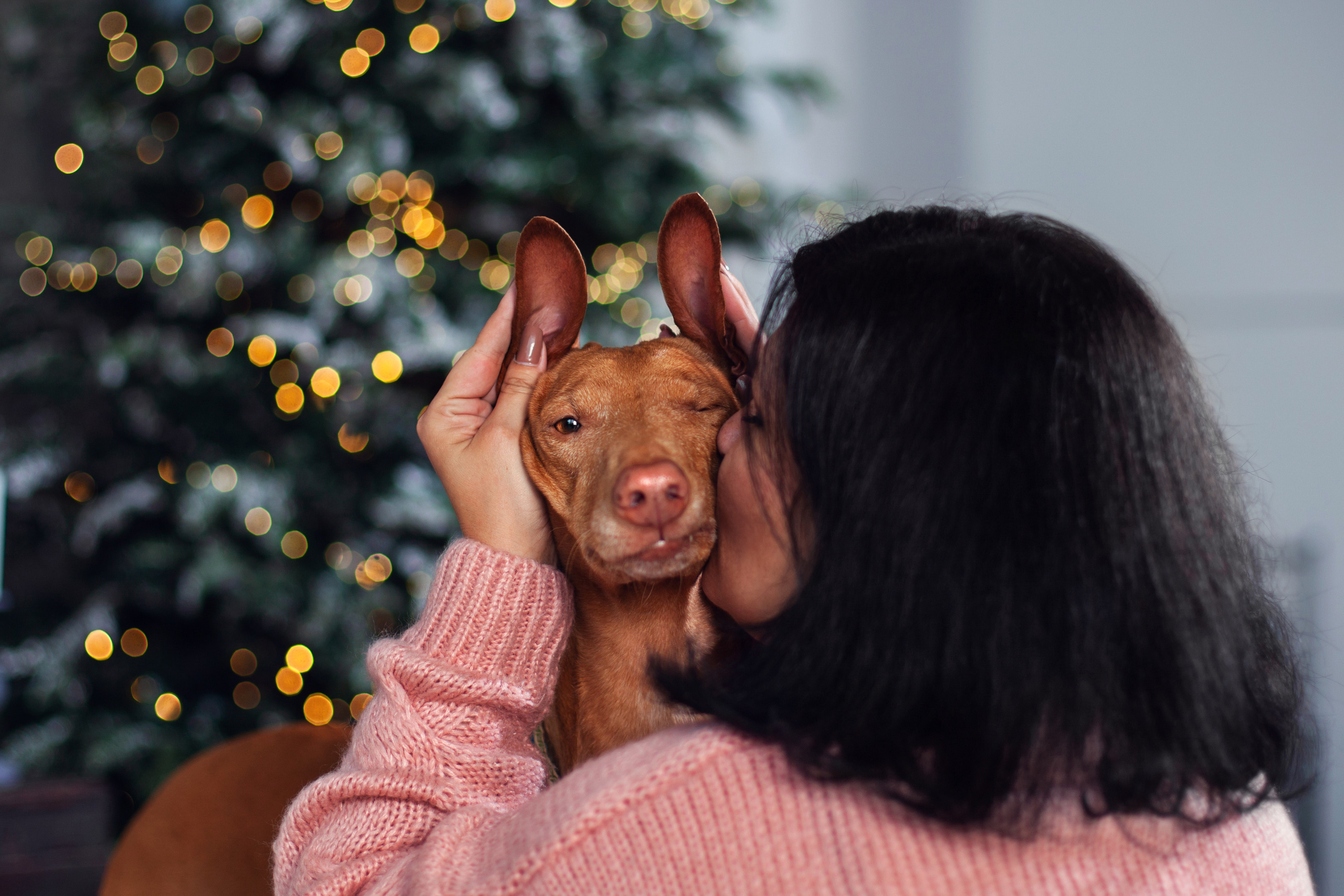 Юля и Мэри. Фотограф-анималист Татьяна Степанова