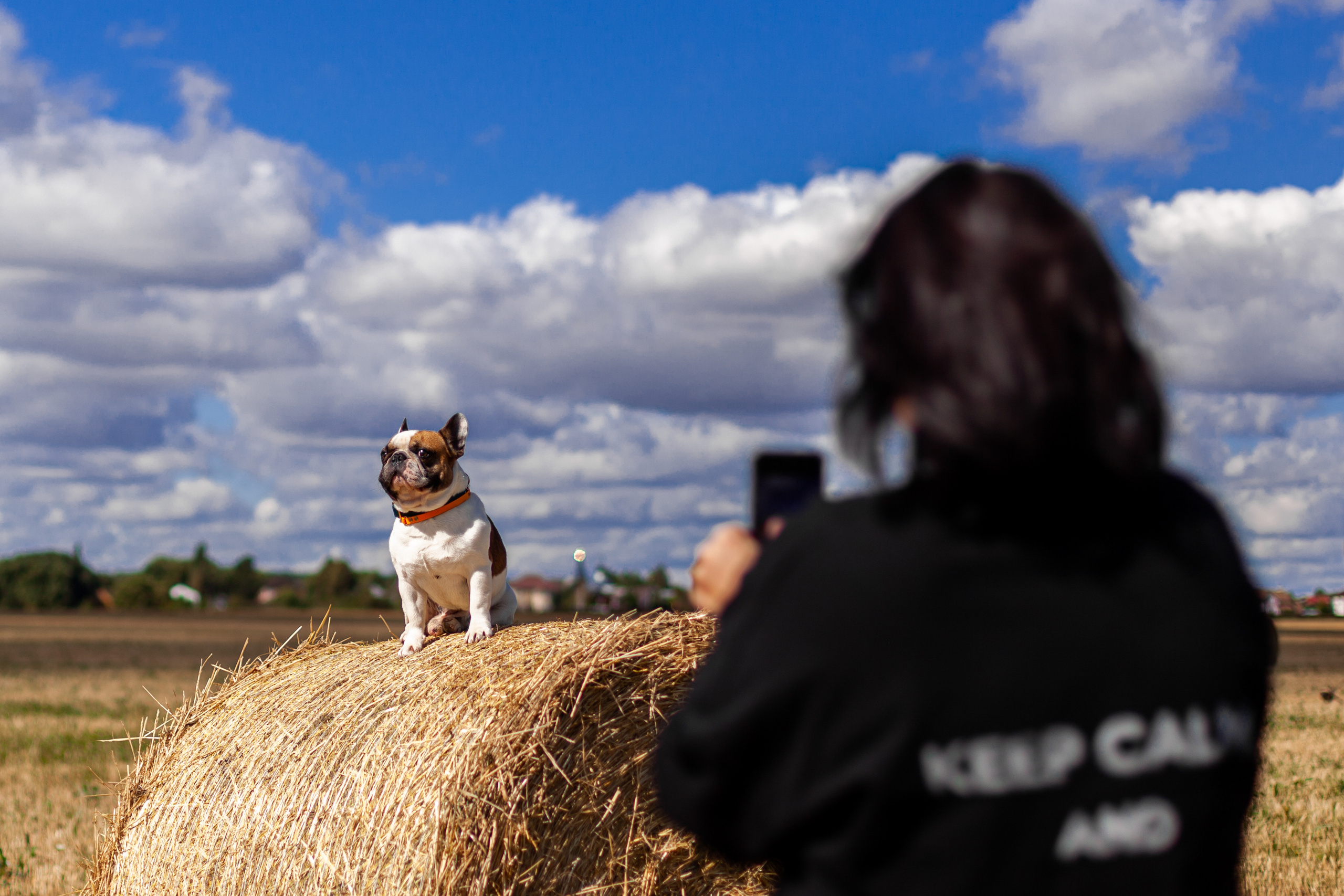 Коломна, стога и подсолнухи. Фотограф-анималист Татьяна Степанова