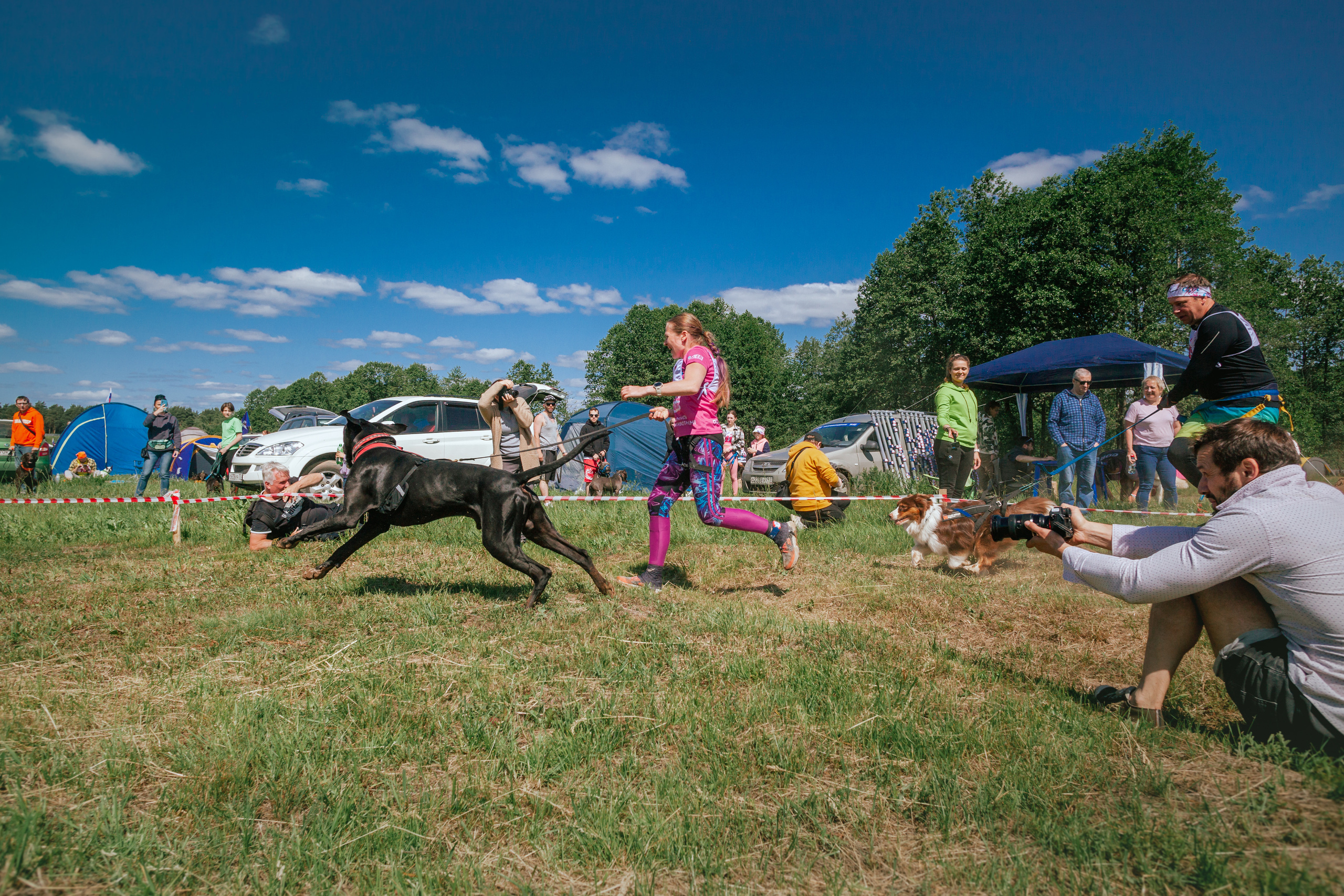 Хвостатый Драйв 11.06.2023. Фотограф-анималист Татьяна Степанова