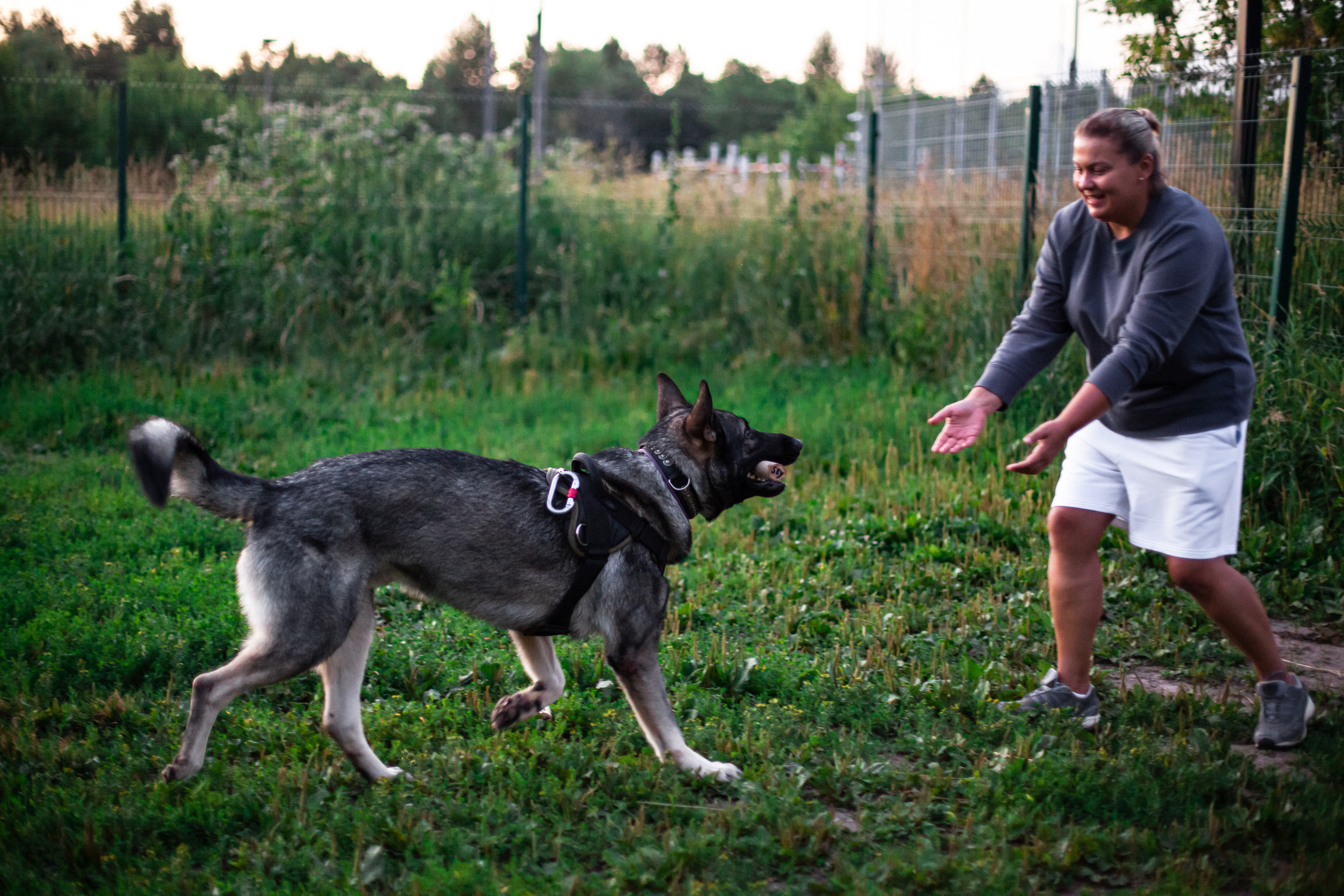 Занятие ЗКС+Выборка 2022. Фотограф-анималист Татьяна Степанова