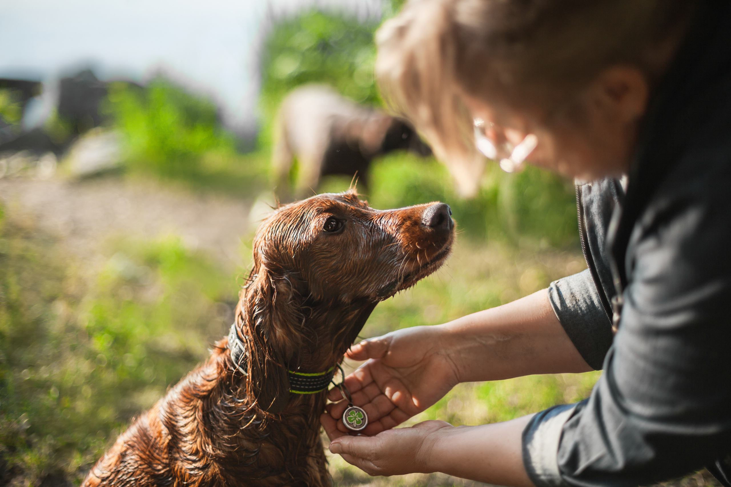 Рассветная съемка в ПКИО Северное Тушино. Фотограф-анималист Татьяна Степанова