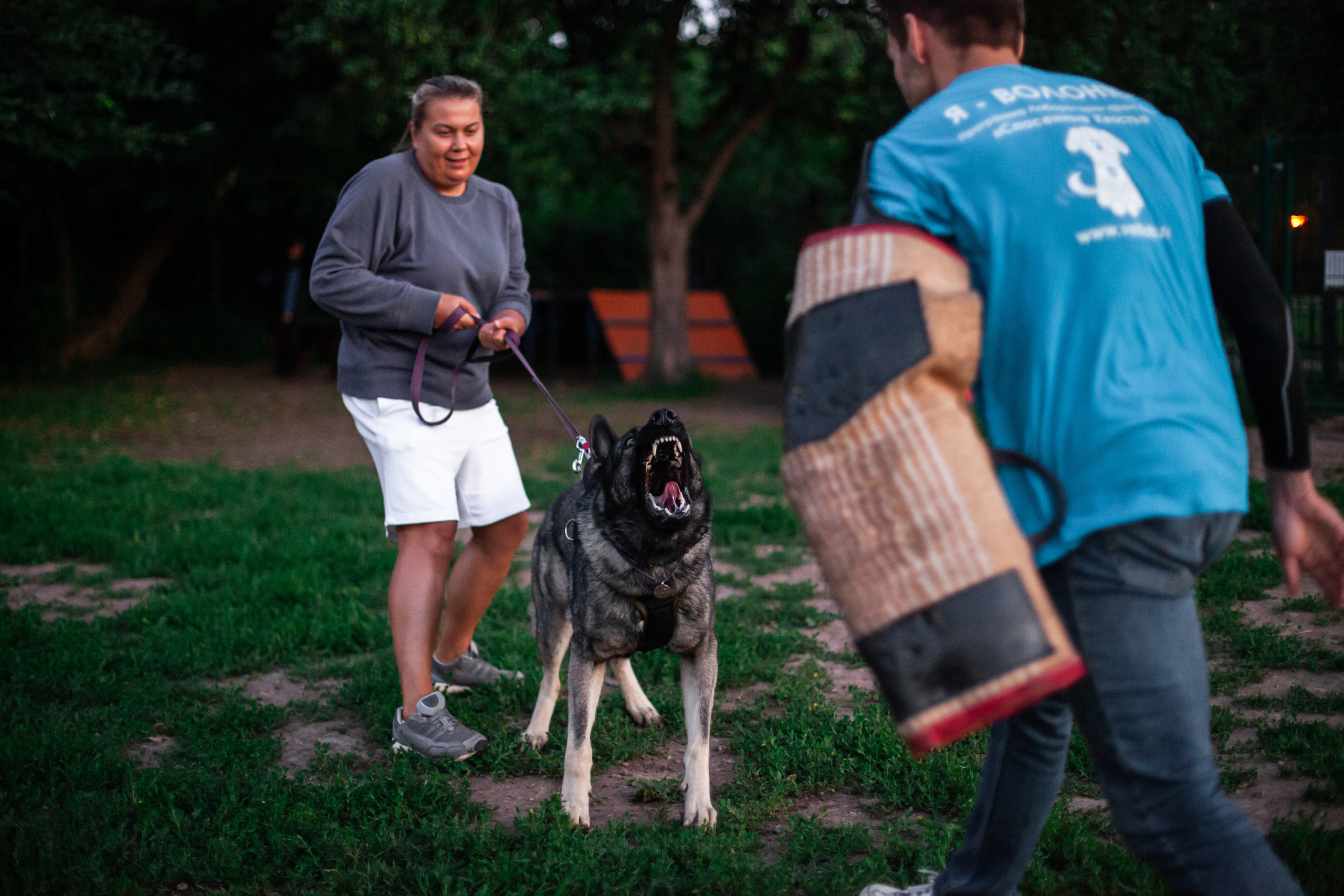 Занятие ЗКС+Выборка 2022. Фотограф-анималист Татьяна Степанова