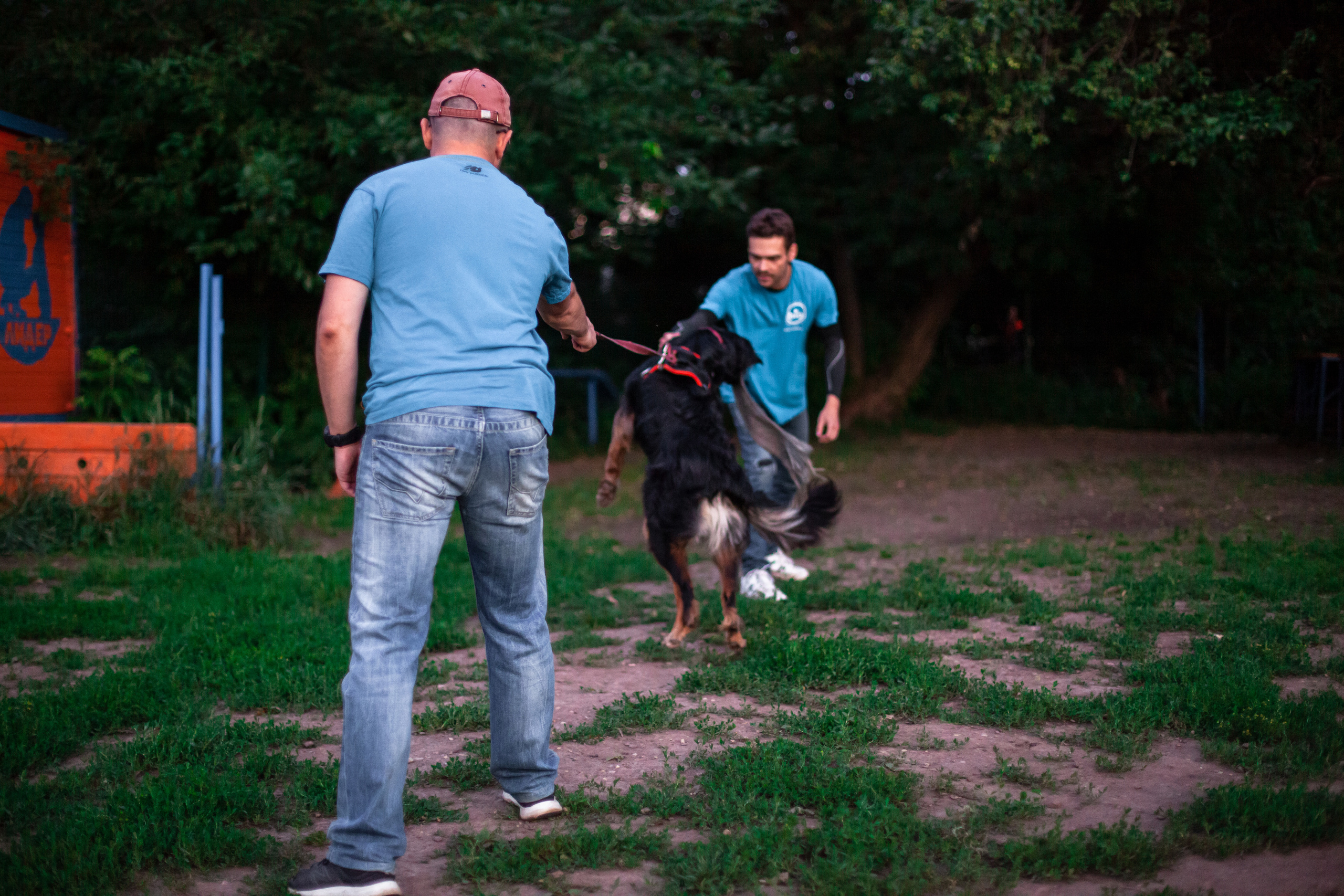 Занятие ЗКС+Выборка 2022. Фотограф-анималист Татьяна Степанова