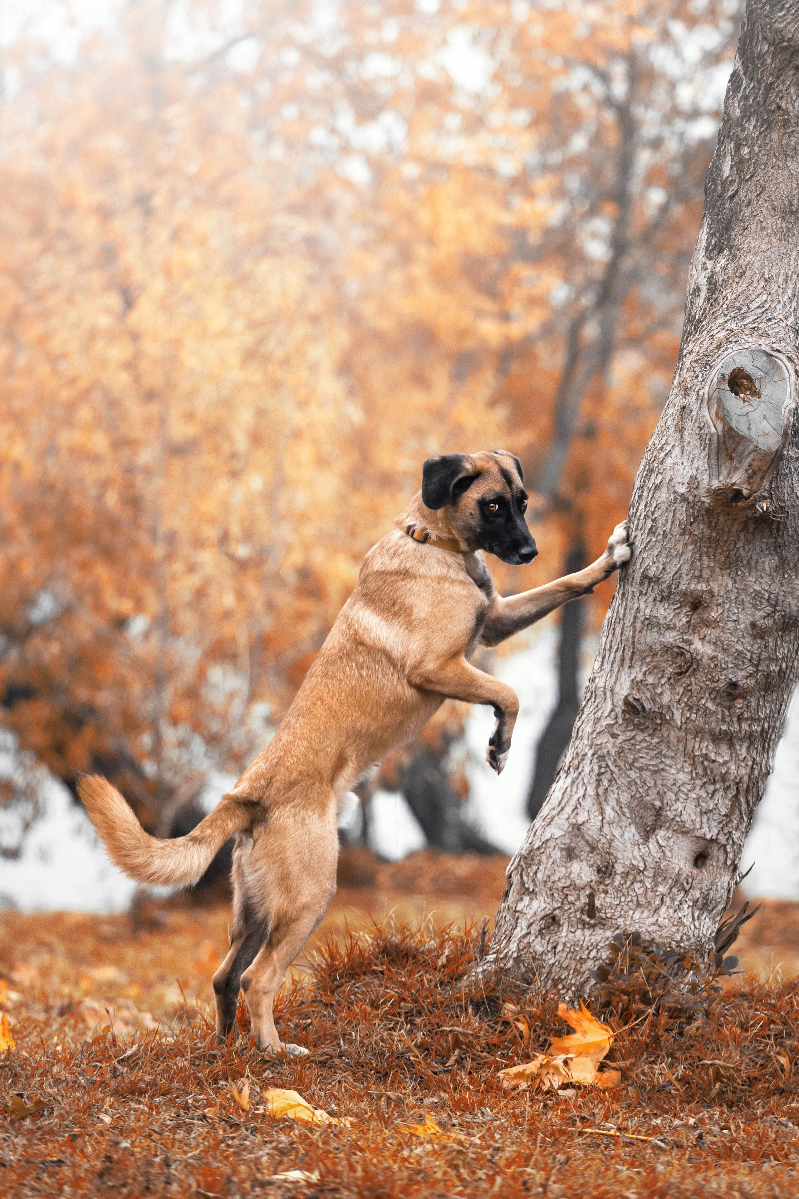 Фучик 2022. Фотограф-анималист Татьяна Степанова