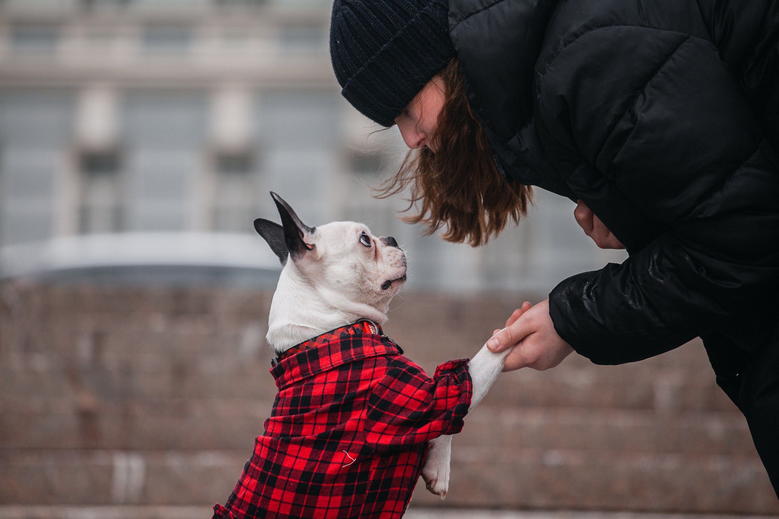 Василиса и Мира Кузнецкий мост. Фотограф-анималист Татьяна Степанова