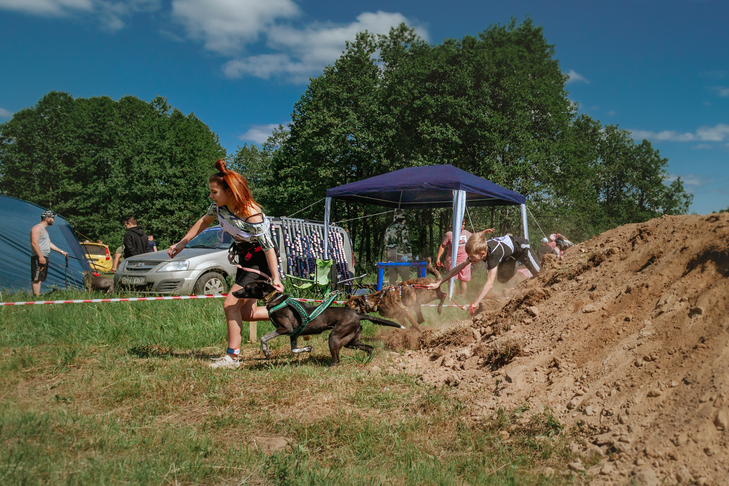 Хвостатый Драйв 11.06.2023. Фотограф-анималист Татьяна Степанова