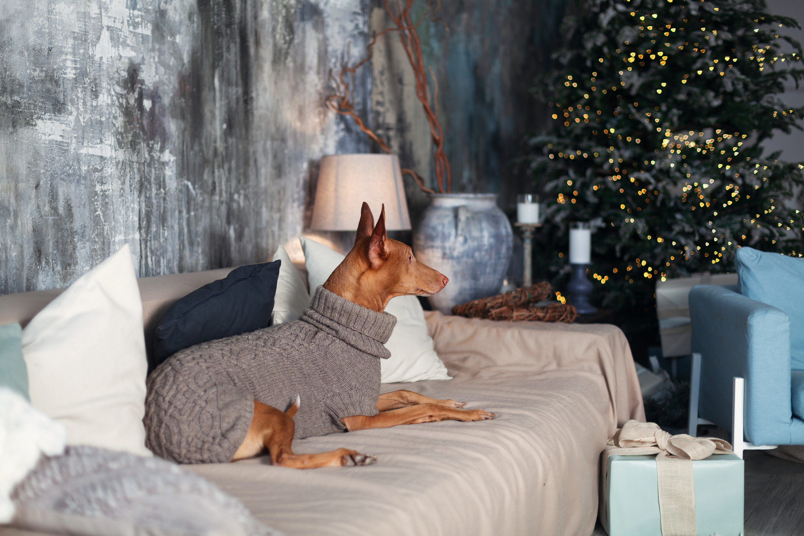 Юля и Мэри. Фотограф-анималист Татьяна Степанова