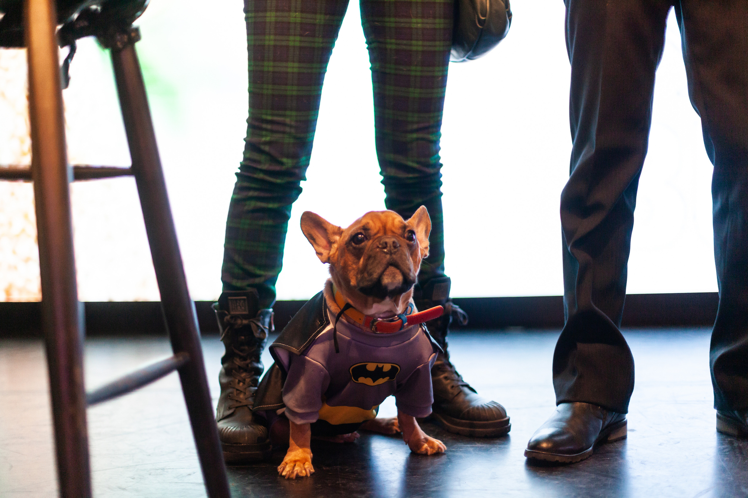 Бульелка 2022. Фотограф-анималист Татьяна Степанова