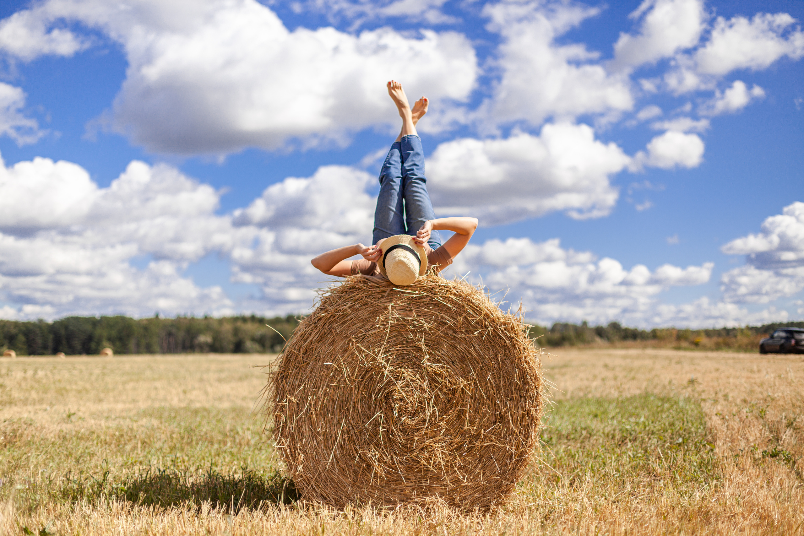 Коломна, стога и подсолнухи. Фотограф-анималист Татьяна Степанова
