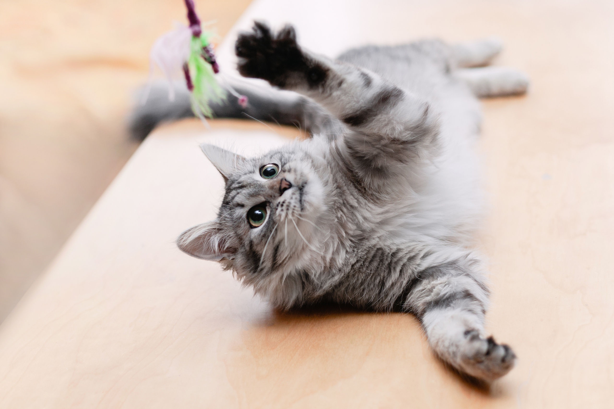 Космос 2023. Фотограф-анималист Татьяна Степанова