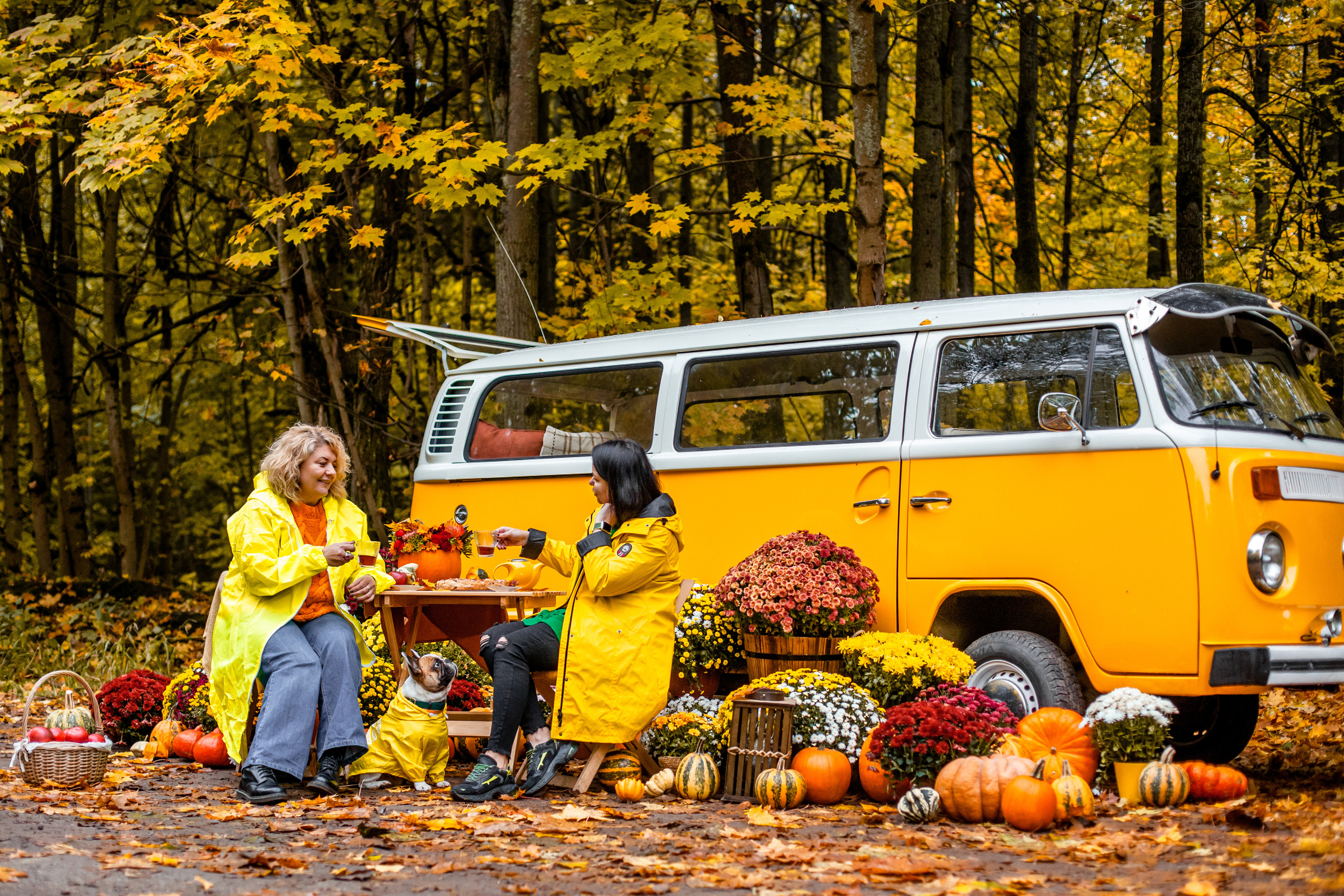 Съемка с ретро автобусом. Фотограф-анималист Татьяна Степанова