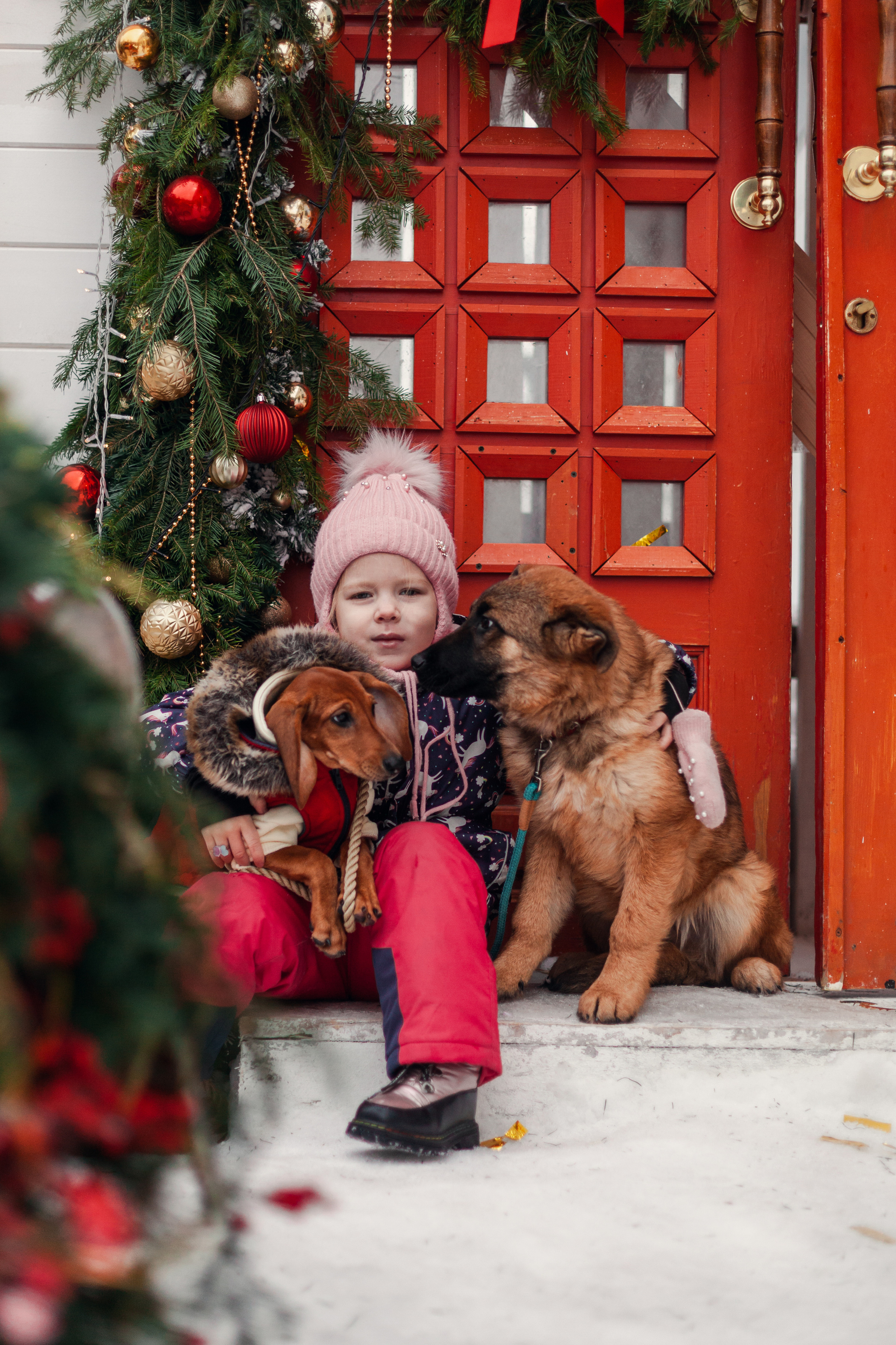 Новогодняя серия с ретромашиной. Фотограф-анималист Татьяна Степанова
