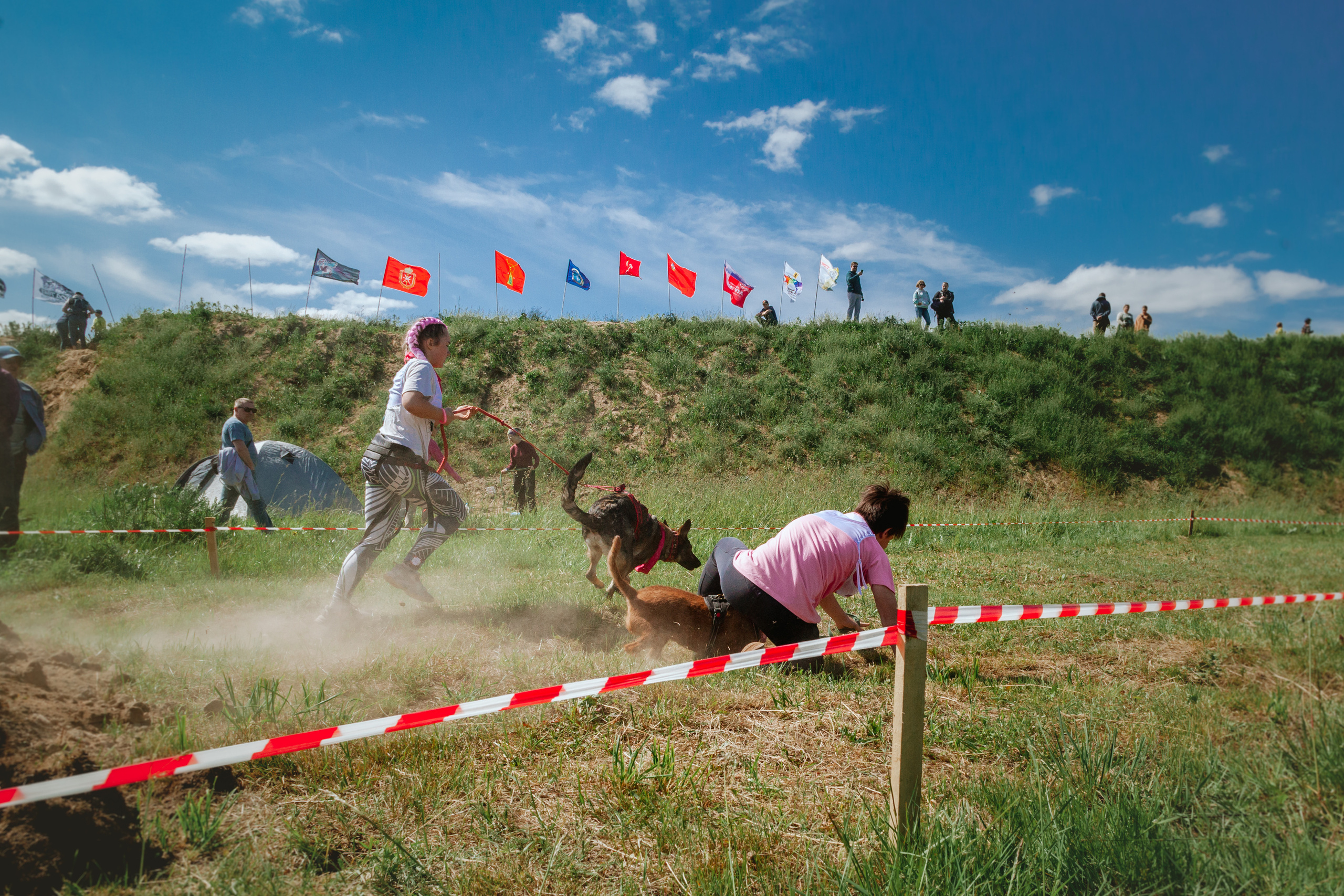 Хвостатый Драйв 11.06.2023. Фотограф-анималист Татьяна Степанова