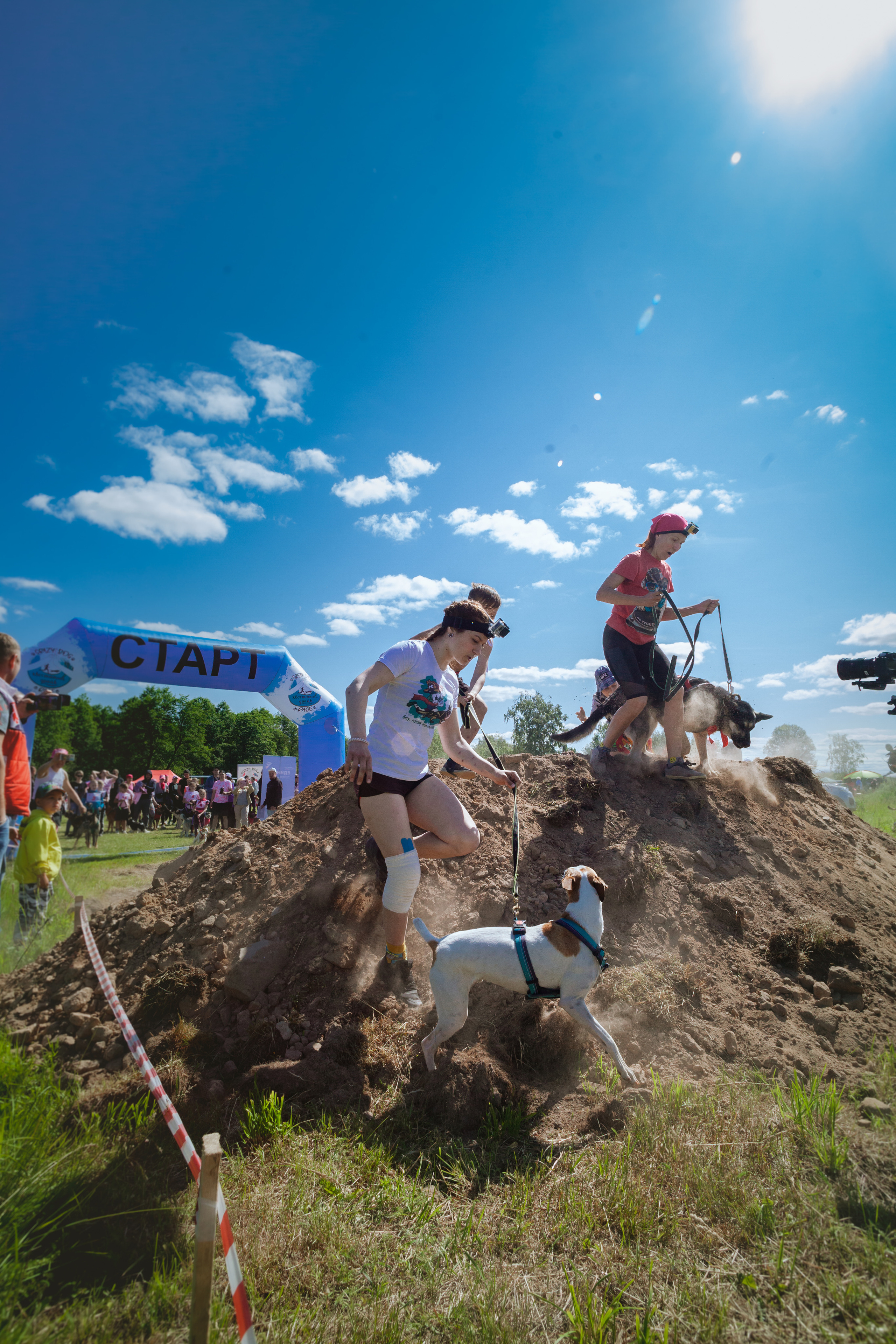 Хвостатый Драйв 11.06.2023. Фотограф-анималист Татьяна Степанова