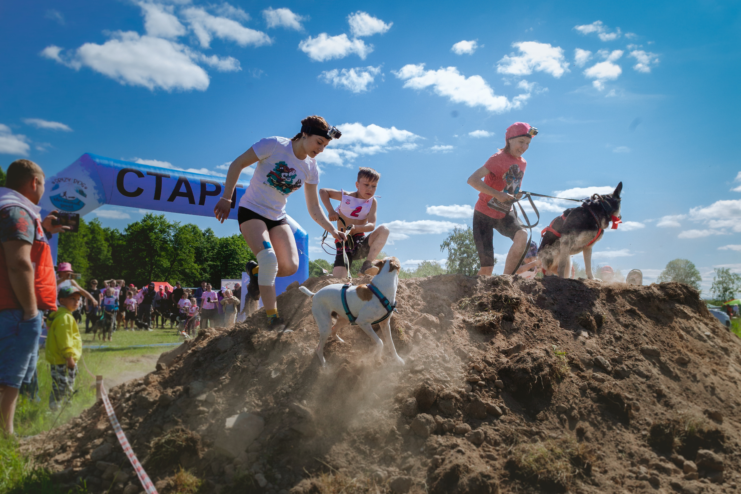 Хвостатый Драйв 11.06.2023. Фотограф-анималист Татьяна Степанова