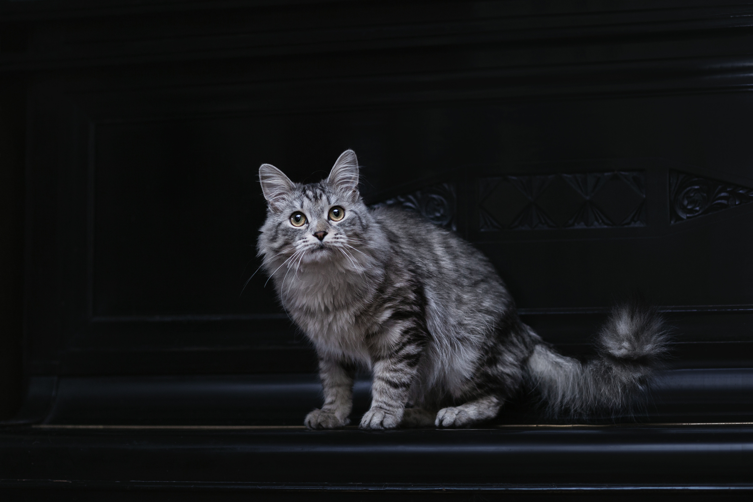 Космос 2023. Фотограф-анималист Татьяна Степанова