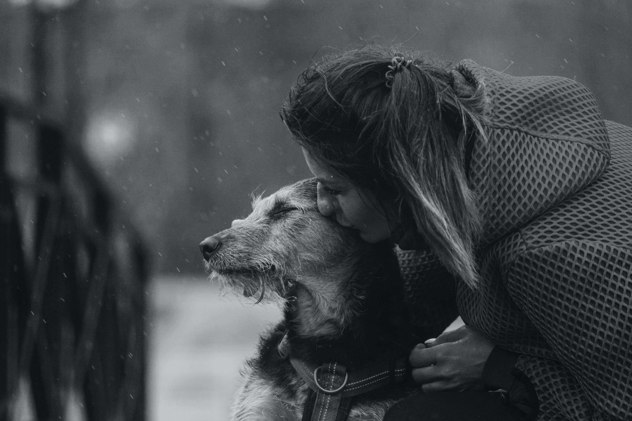 Лиза и Бренда. Фотограф-анималист Татьяна Степанова