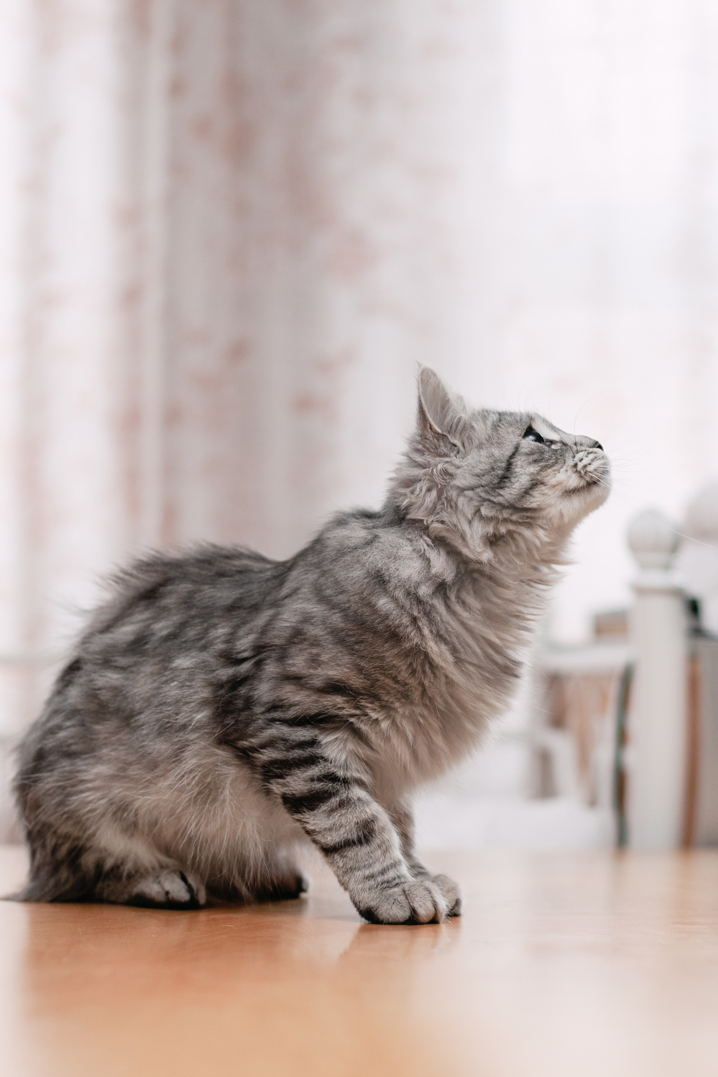 Космос 2023. Фотограф-анималист Татьяна Степанова