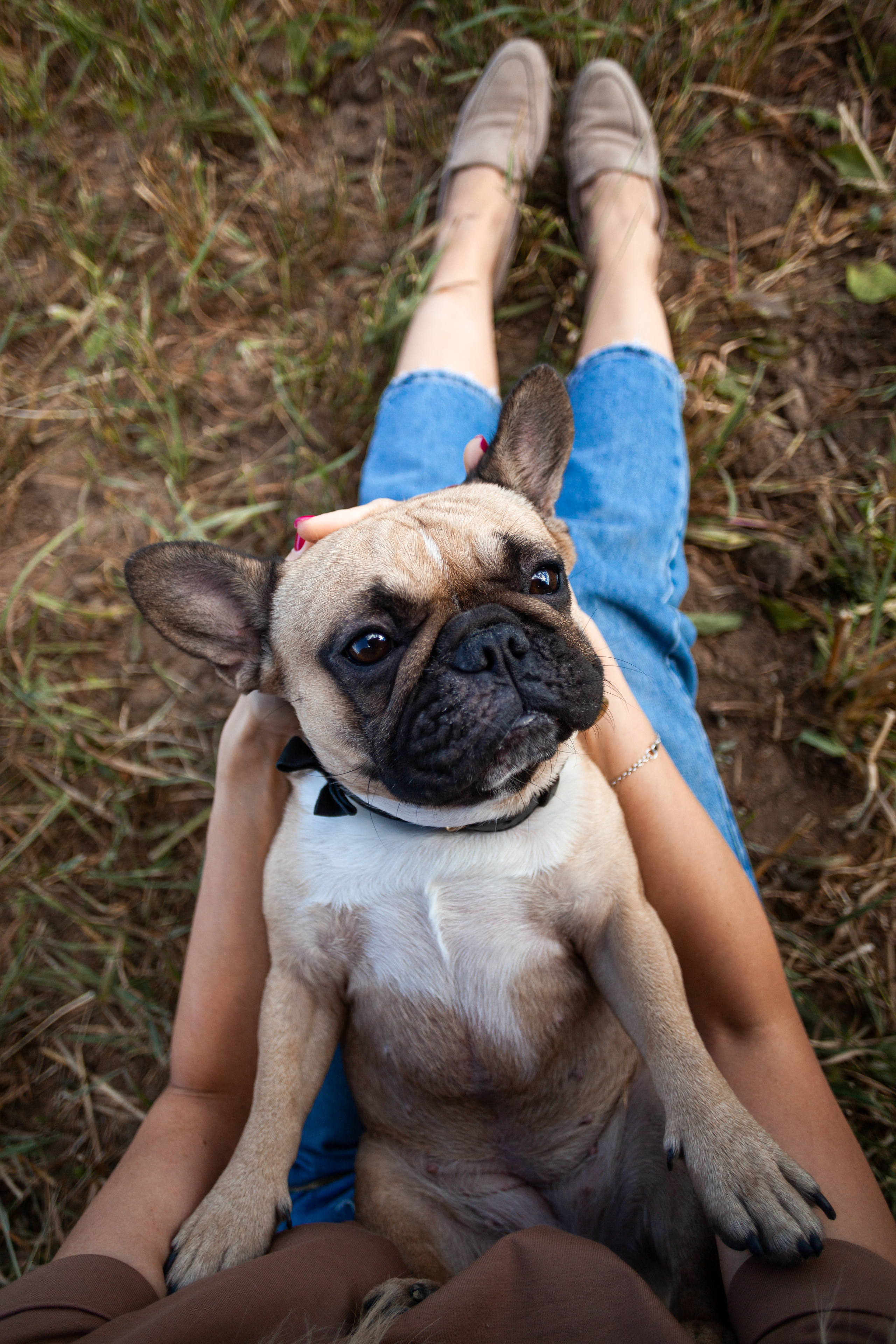 Коломна, стога и подсолнухи. Фотограф-анималист Татьяна Степанова
