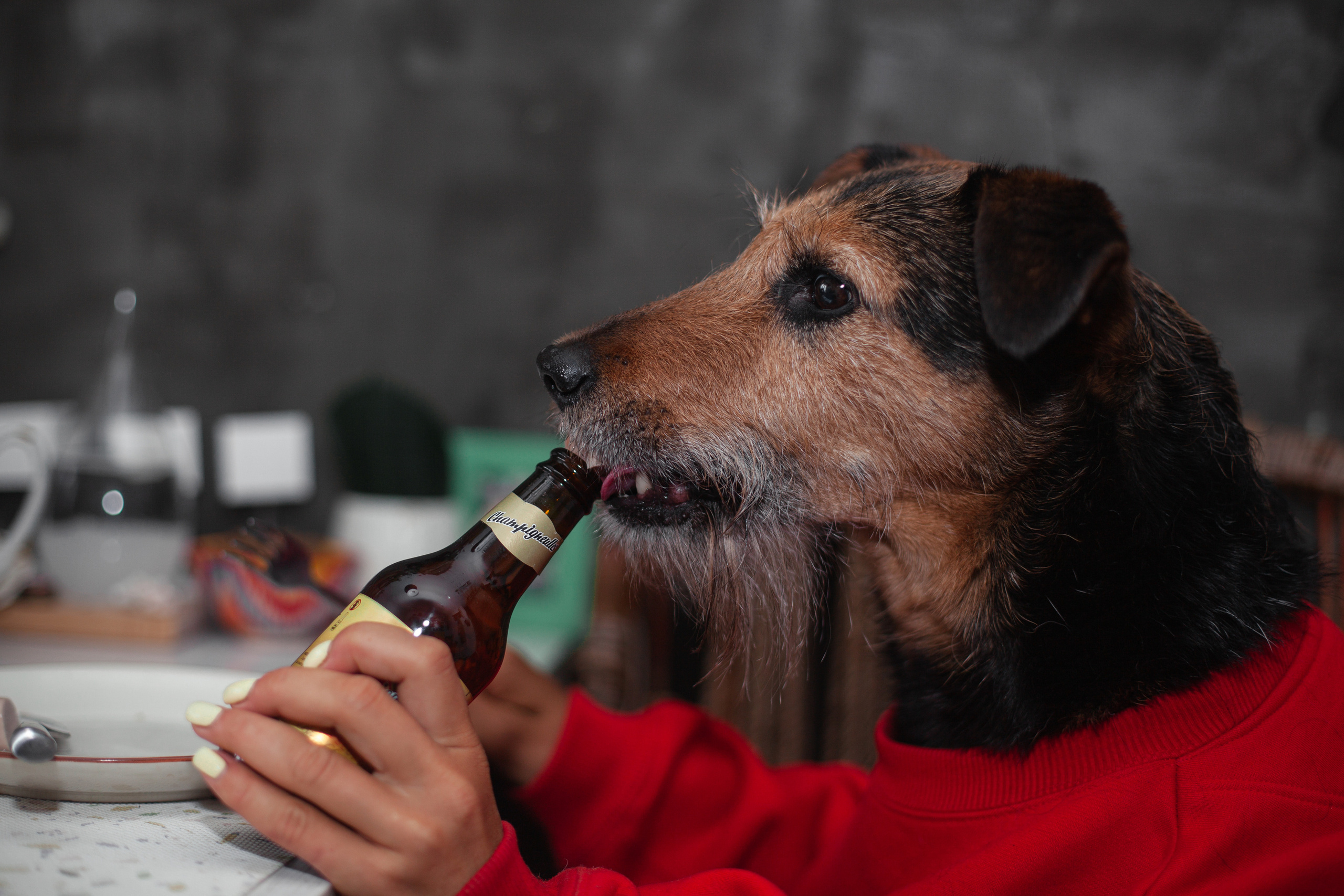 Лиза и Бренда. Фотограф-анималист Татьяна Степанова