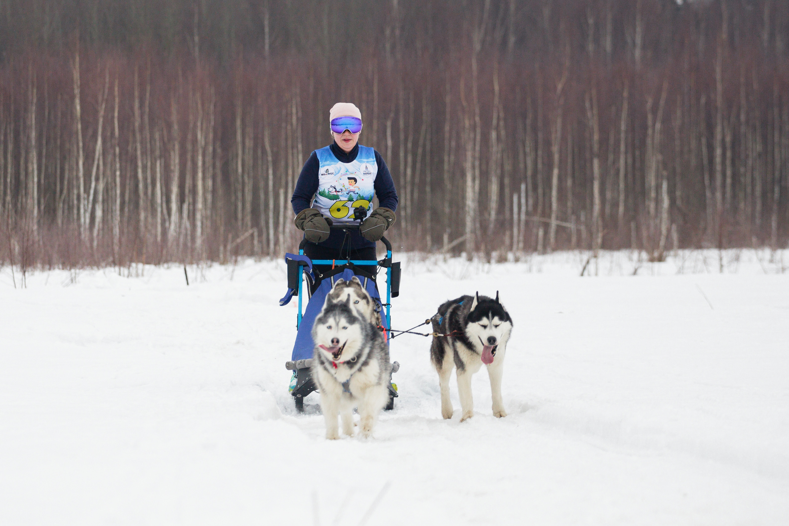 Холодные игры 28 февраля 2022. Фотограф-анималист Татьяна Степанова
