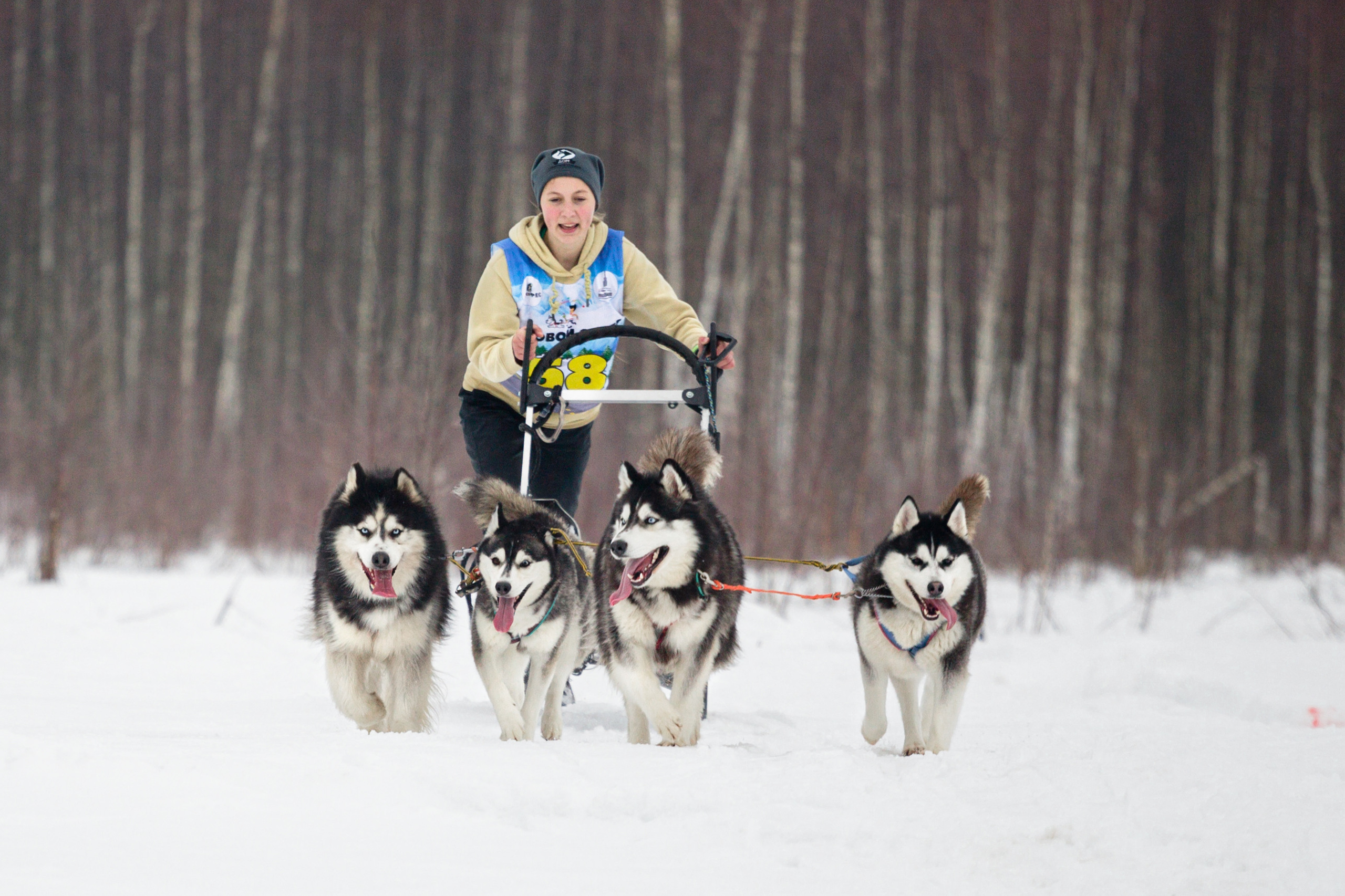 Холодные игры 28 февраля 2022. Фотограф-анималист Татьяна Степанова
