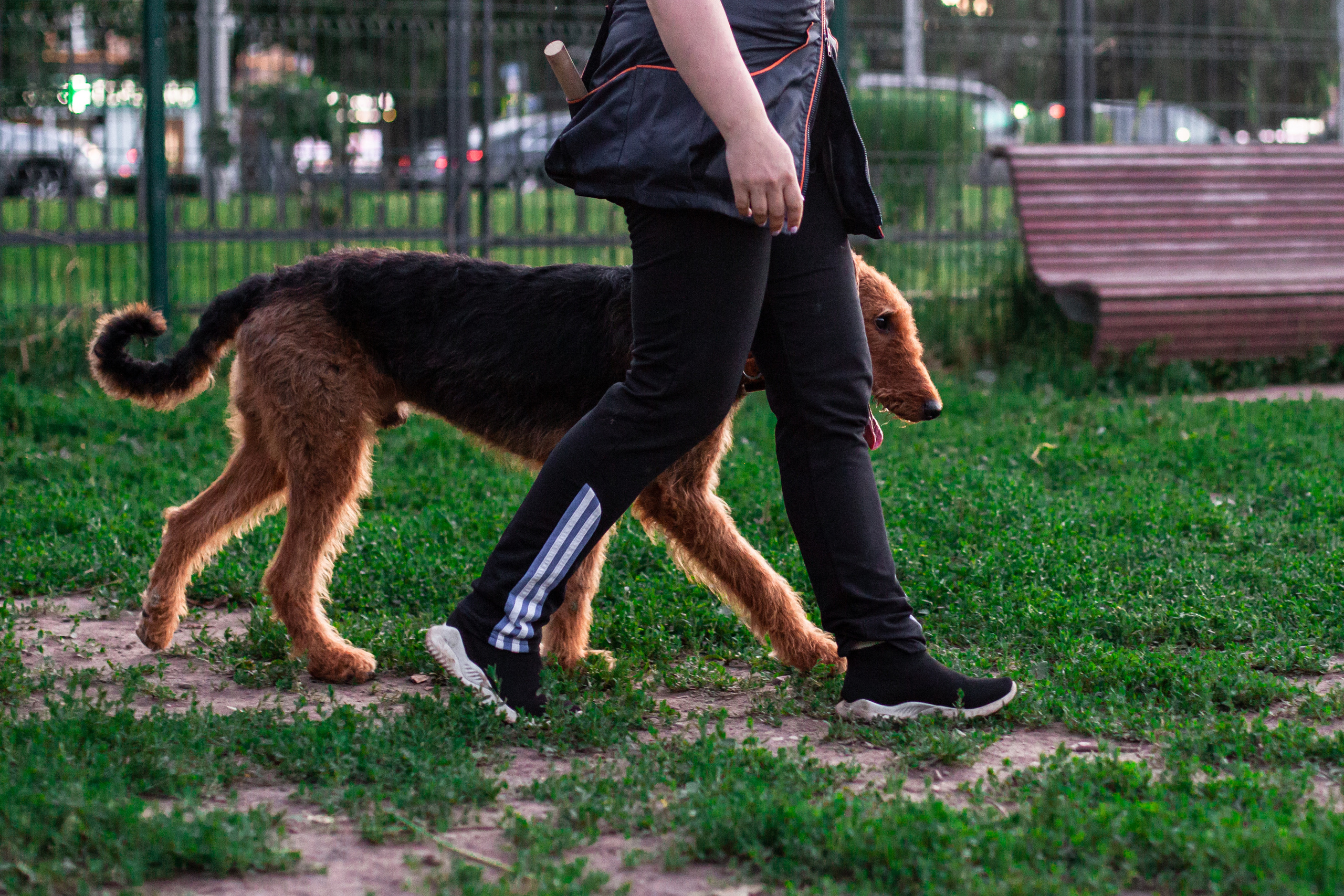 Занятие ЗКС+Выборка 2022. Фотограф-анималист Татьяна Степанова