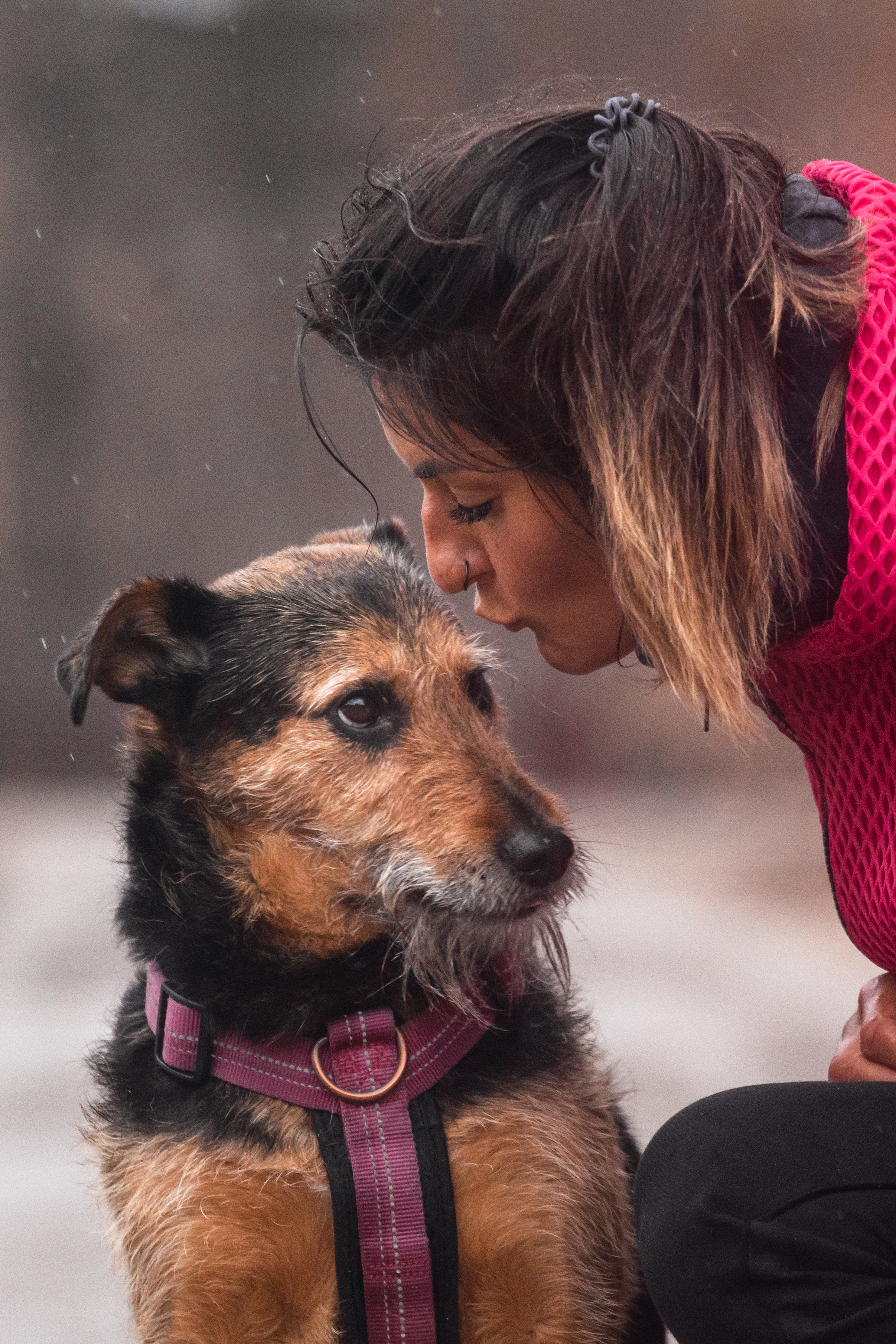 Лиза и Бренда. Фотограф-анималист Татьяна Степанова