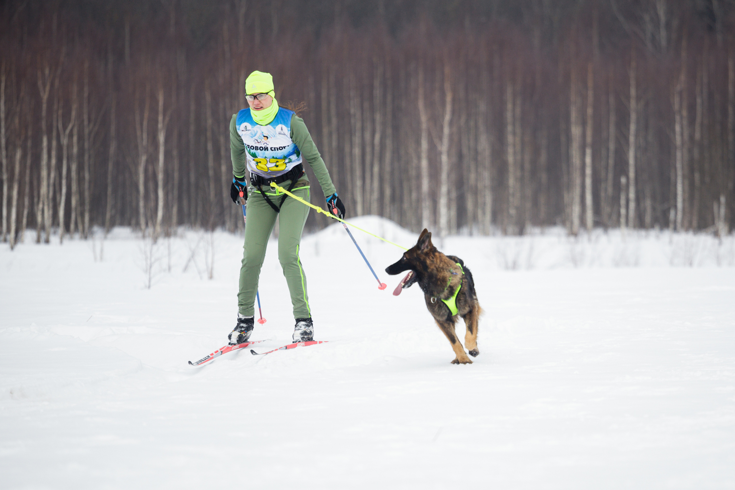 Холодные игры 28 февраля 2022. Фотограф-анималист Татьяна Степанова