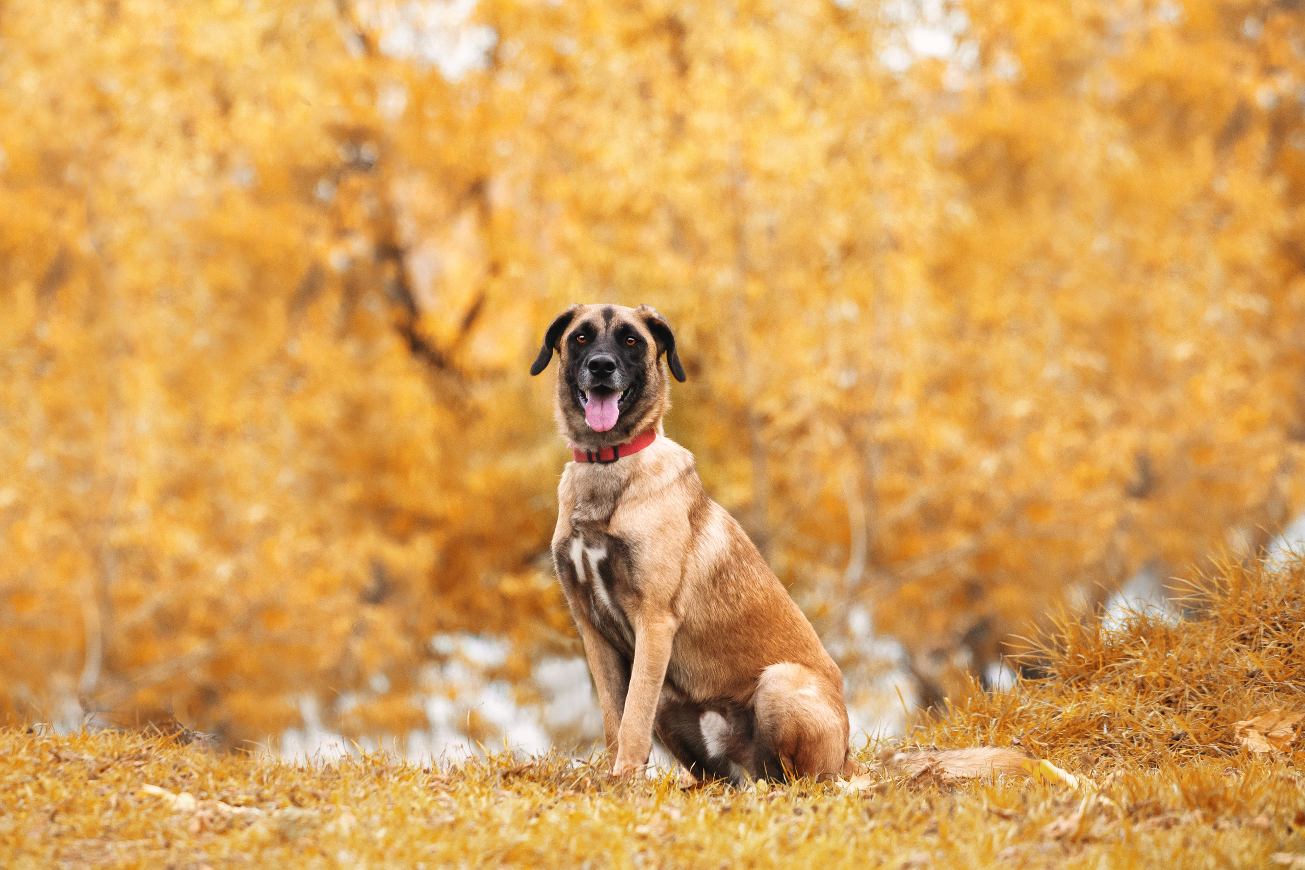 Фучик 2022. Фотограф-анималист Татьяна Степанова