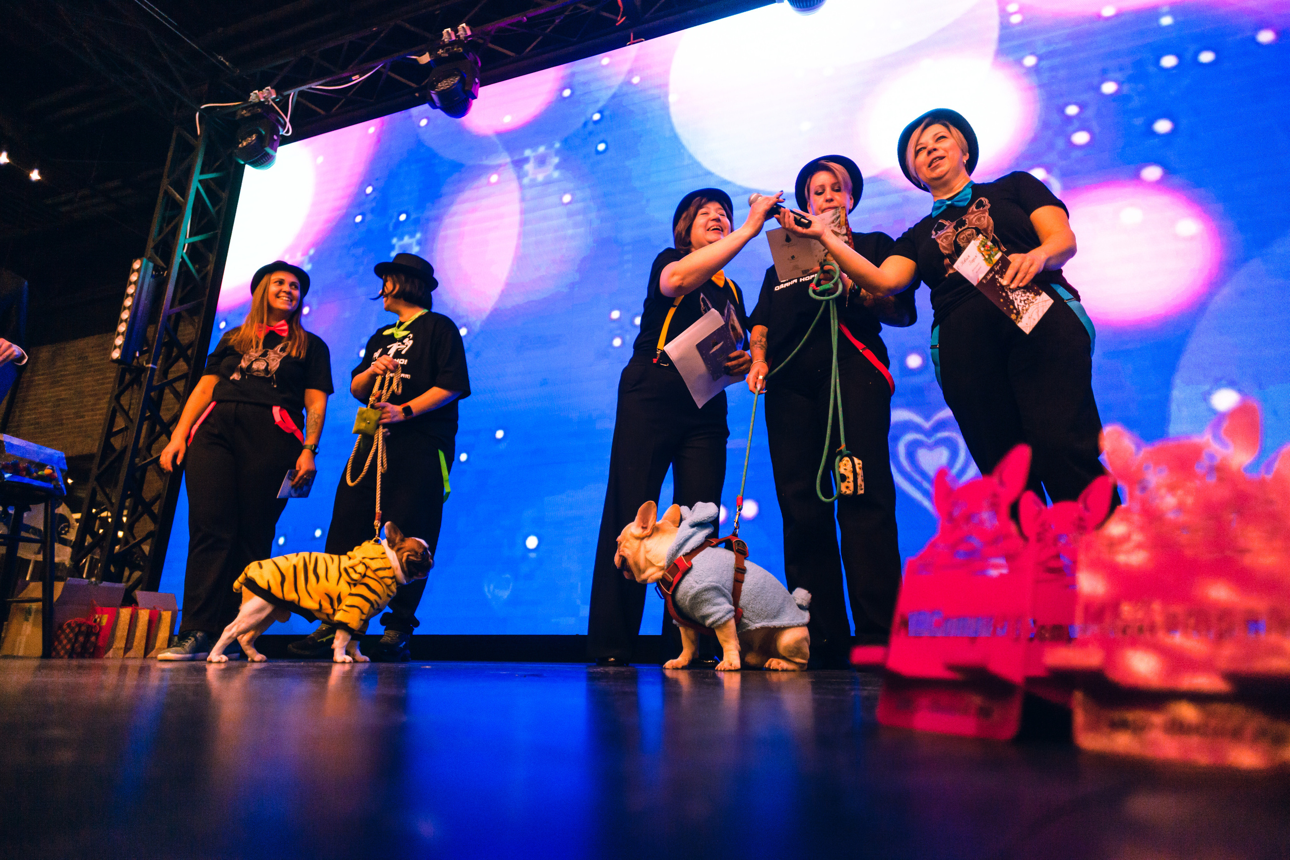 Бульелка 2022. Фотограф-анималист Татьяна Степанова