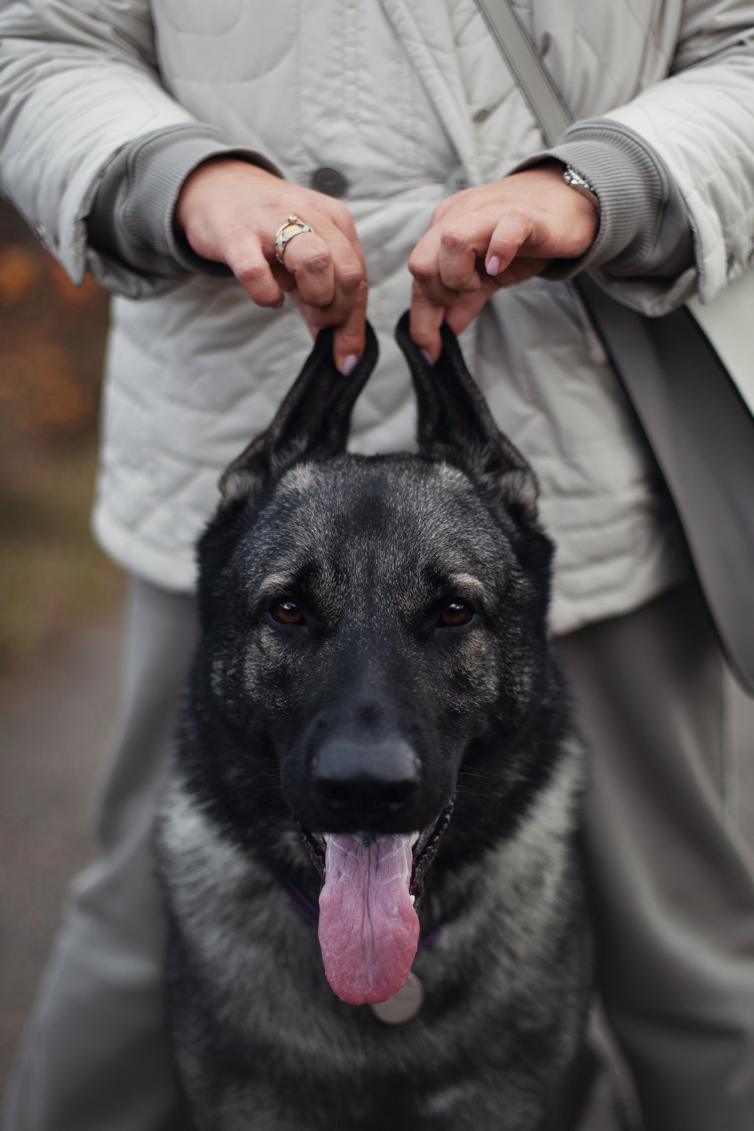 Женя, Скай и Арти в ПКИО Северное Тушино. Фотограф-анималист Татьяна Степанова